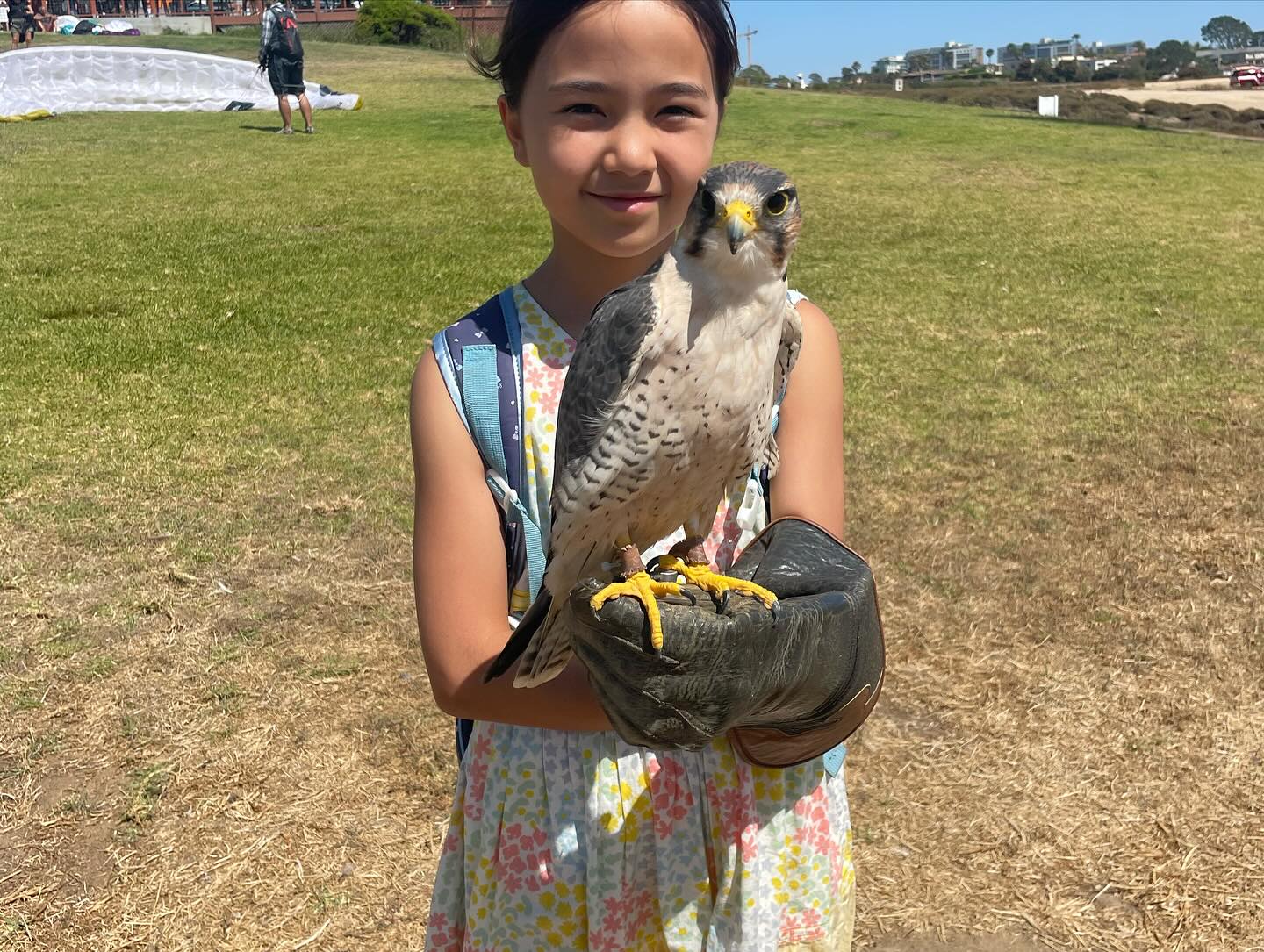 Who’s a good boy? #goodboybunco #lannerfalcon #totalraptorexperience #sandiego