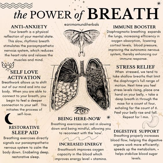 You can create 3 levels of your YuSteam:
🍃Light (1 to 2 small crystals with 1 scoop herb)
🍃🍃Medium (2 -4 small crystals with 1 scoop herb)
🍃🍃🍃Strong (4 small crystals or 1 medium crystal)
Light -
🫧For kids
🫧For use when your sinuses are dry (more of the steam and herb to hydrate your airways)
🫧When you just want or need a “hit”
🫧For when you have a headache
🫧Airways and respiratory systems are irritated and sensitive
Medium -
🫧Been around someone sick
🫧Feel like you’re getting sick
🫧Slight congestion
🫧Headache
🫧Open airways
🫧Soothe lungs
🫧Immunity boost
🫧For quick “on the go” use
Strong -
🫧For the air in your home
🫧For heavy congestion
When using steam, use a whiffing motion to first try the steam until you’re comfortable putting head over the steam. It will greet you with a punch.
*can add lavender other favorite essential oil to soften and enhance steam*
2 | Bath Bars and Loofah Bars will be out of stock until further notice, we are revising the recipe.
3 | Shower bombs when broken up in pieces can also be used as a cooling and refreshing foot soak. All you’ll need is one of the broken pieces in a large bowl of water for your feet.
🌹
