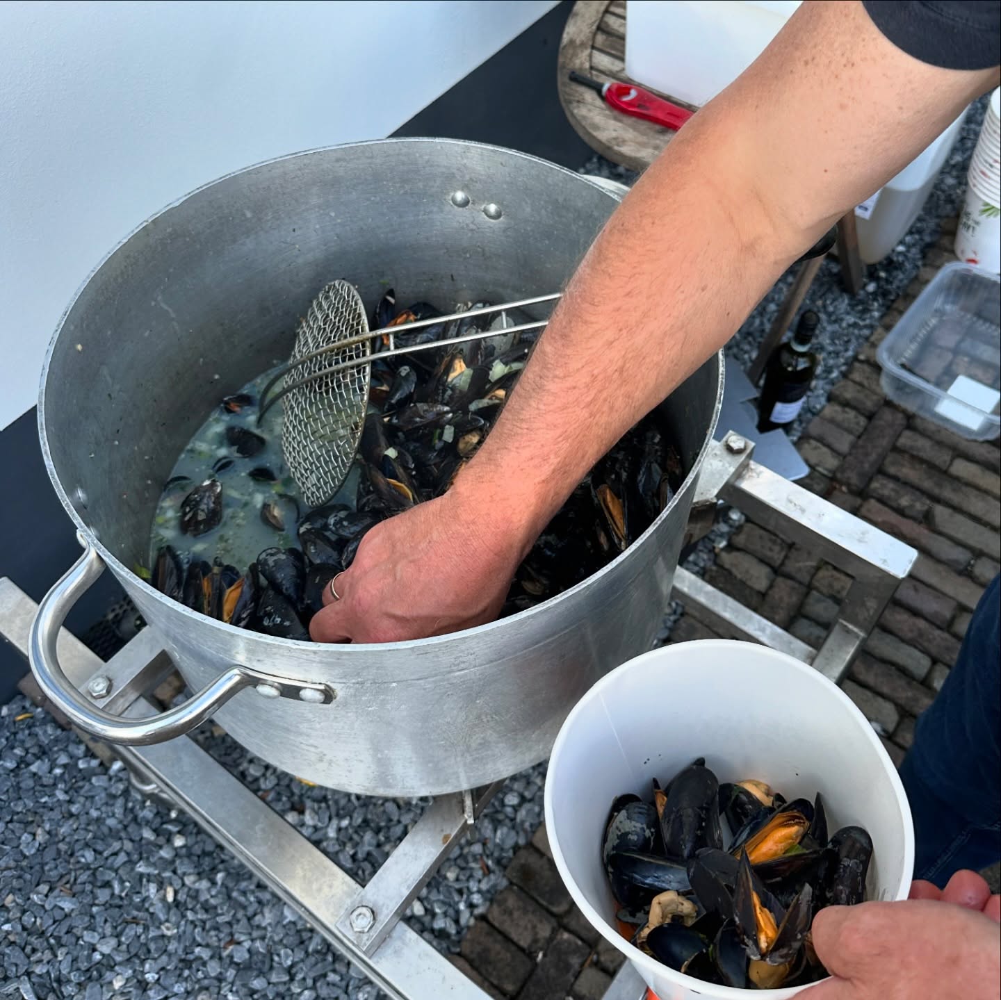 Zin in mosselen?☀️ Dit is hét moment om ervan te genieten! Het mosselseizoen is al begonnen, want het is juli, en loopt tot begin april, afhankelijk van de beschikbaarheid en kwaliteit.
Traditioneel geldt de regel: als er een ‘r’ in de maand zit, zijn mosselen vers en te verkrijgen. Deze periode biedt de meest sappige en smaakvolle mosselen, waardoor het de perfecte tijd is om jezelf te trakteren op deze heerlijke delicatesse.
Mis deze kans niet om van de beste mosselen van het jaar te genieten! Nu online verkrijgbaar 🐚
•
•
•
#visrecepten #viskoop #visbestellen #visbox #visonline #etenbestellen #foodies #food #viseten #visgerechten #fishandseafood #seafood #visrecept #gezondeten #gerechten #foodinspiration #ijmuiden #haarlem #santpoort #ijmuidenaanzee #visafslag