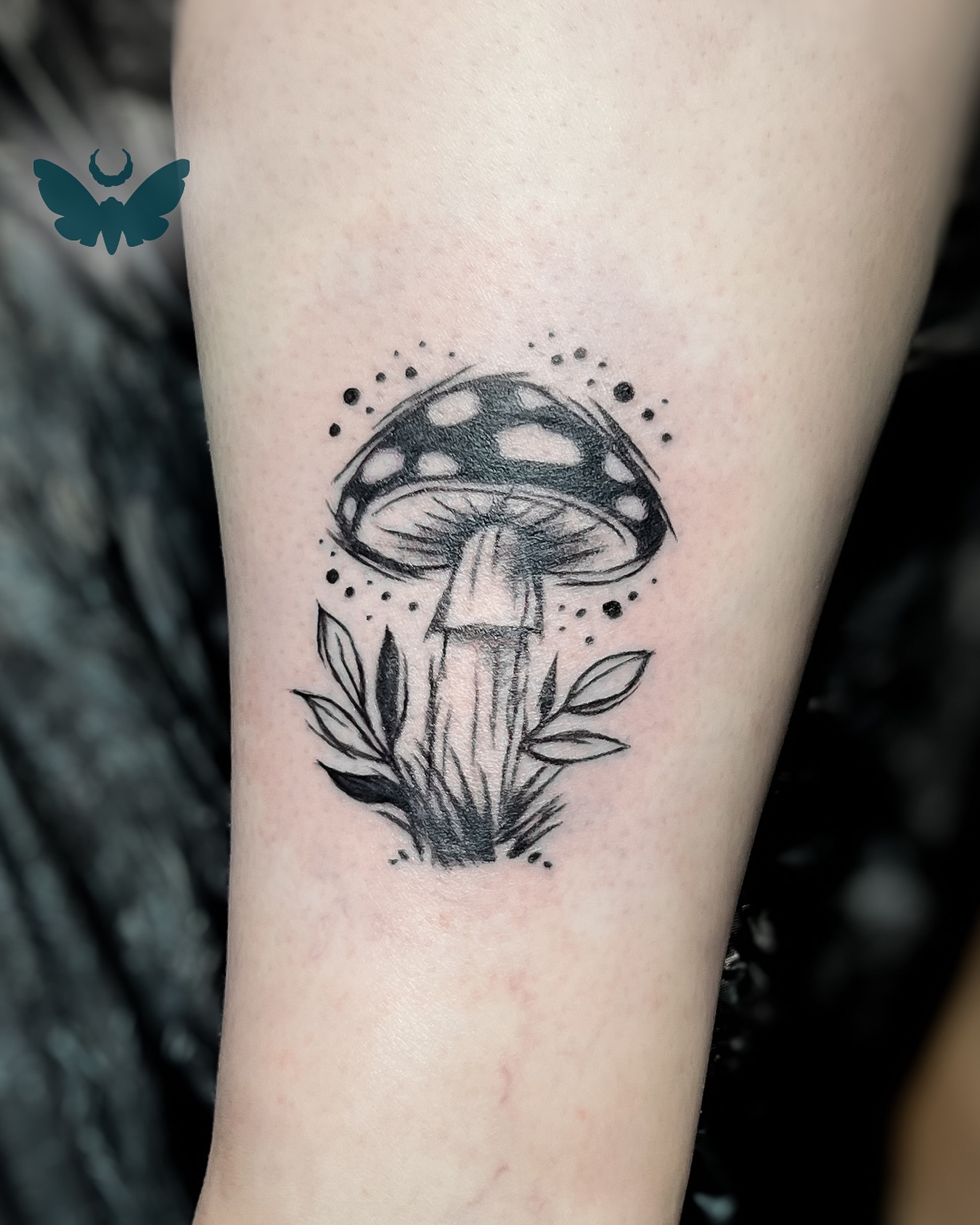 Merci Dayana d’avoir adopté ce flash 🍄
D’autres flash en mode « sketchy » sont disponibles dans la bulle « projets dispo » sur le profil. N’hésitez pas à me contacter si vous y trouvez votre bonheur ☺️
.
Je réponds à vos questions et vos demandes de RDV en MP par mail ➡️ topazie.tattoo@gmail.com ou en ligne ➡️ topazie.setmore.com/beta
.
.
#swisstattooartist #swisstattooers #swiss #mushroomtattoo #sketchytattoo #lausannetattoo #topazie