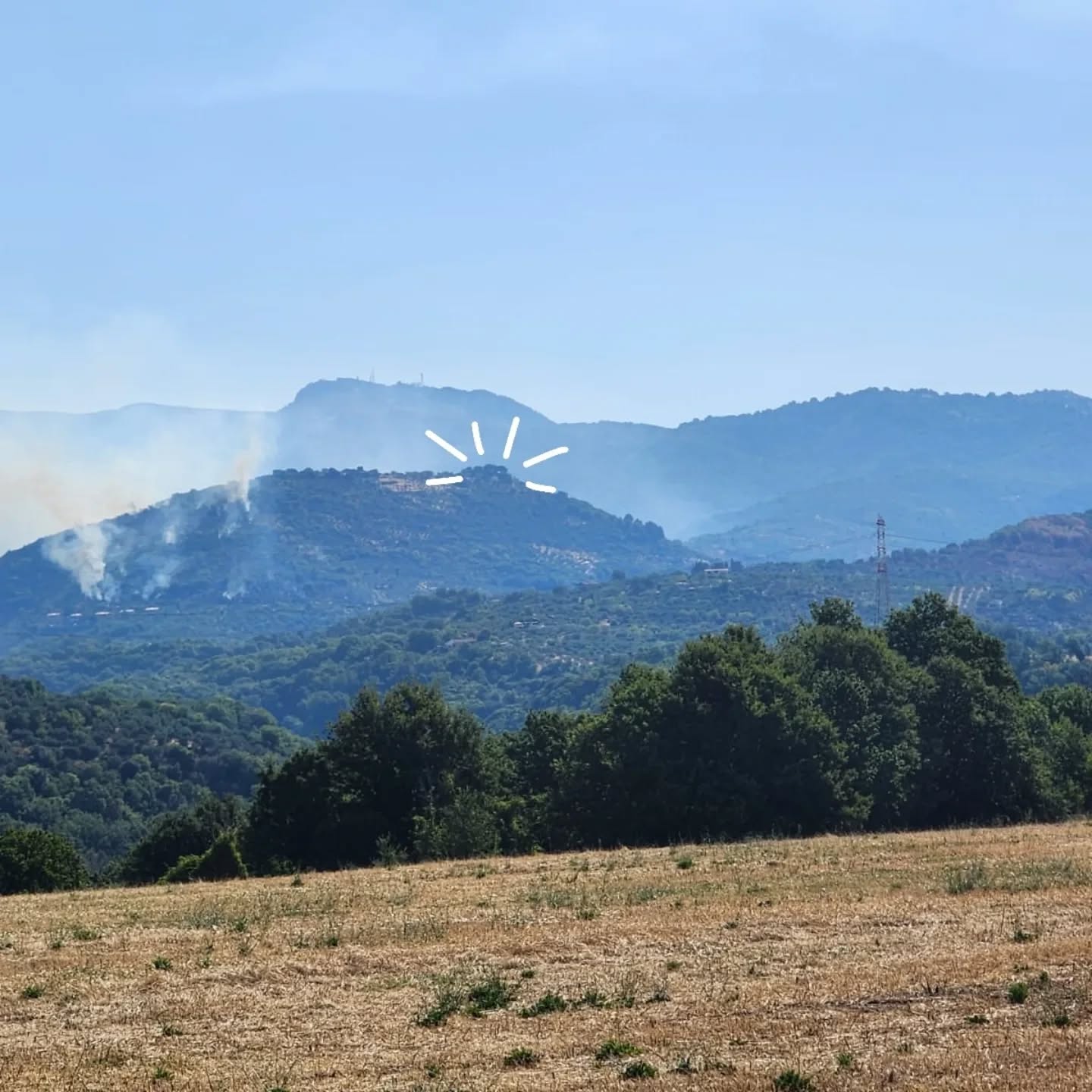 Jul 18 was a tragic day for Villa Sant Angelo and Vasto Farms.
Fire started in the early hours in the neighboring village of Casape. It reached the Olive groves of Villa Sant Angelo and raced through it around 3 pm. In 3 hours, we lost 70% of our olive trees, bee hives, and fruit trees. We are shocked. This is the 2nd fire in 10 months. It is believed to be arson. What a shame! This act put our farm and all the farms on the hill behind by at least 2 years. Olive trees are resilient, and they will come back with some TLC. The same cannot be said for our lovely 🐝.
I am gutted, but we have to focus on damage assessment, rebuilding, and most importantly, how to ensure we protect the farm next time fire strikes. Water is a scarse resource in these parts of the country. So I am looking for innovative ways to protect the farm. Send me a message if you have any ideas.....
