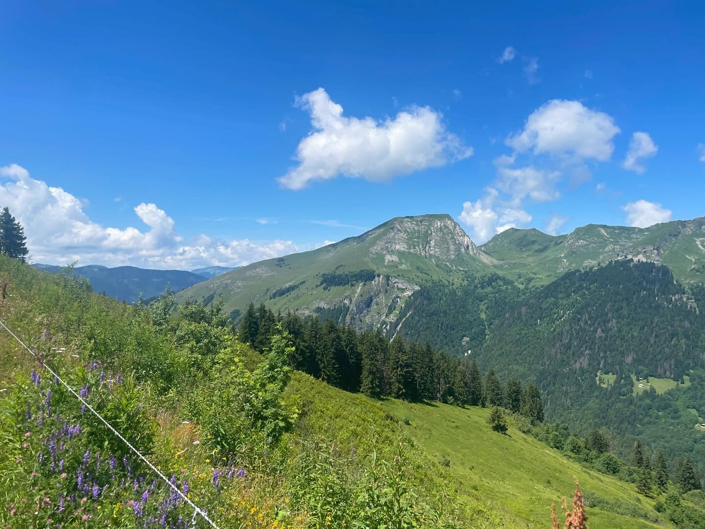 Time in the Alps to breathe and regroup #morzine #summerinalps #mountains #holidaywine #walkingtorelievestress