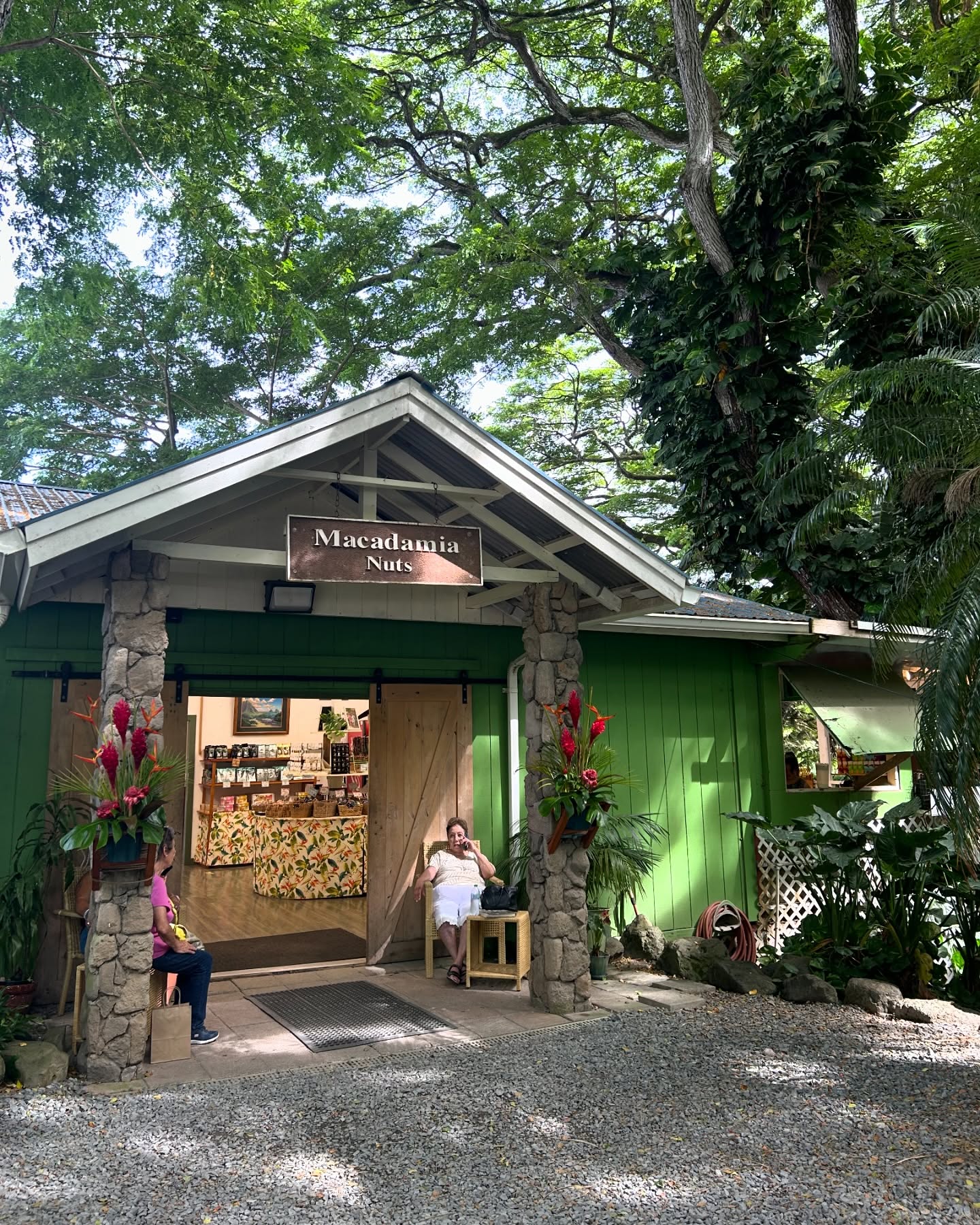 Macadamia Nut Farm in North Shore!
マカデミアナッツファームにはコーヒー豆や
ノニなど販売してます。️🌈🥜☀️ #plusalohacafe #alohashirt#おしゃれなアロハシャツ #ハワイの好きな人と繋がりたい