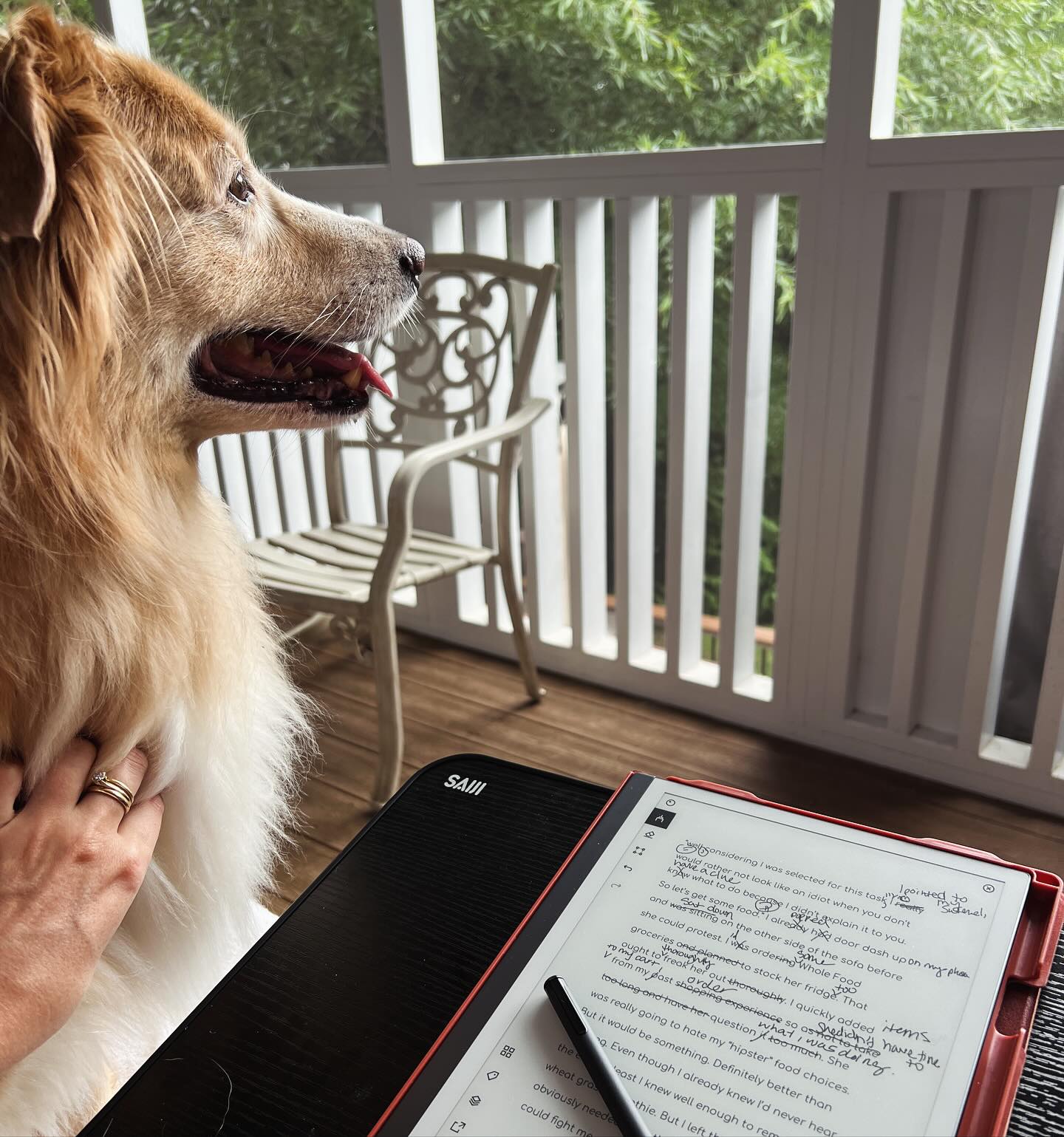The newsletter goes out today!! Subscribe to see exciting new updates!! The secret password for the bonus library will be released along with news about my upcoming novel, The Heartbeats of Aloha!!! 🏝️💜🎉 I’m super excited to start an author and reviewer spotlight! The fantastic @ashleywestonauthor and @taras.littlelibrary will be featured this month!! This month’s focus is disability pride month, and Ashley has a beautiful book that is perfect to celebrate the month and Tara has amazing recs for it! There’s also several free downloads from fellow indie authors included as well!! Hope you’ll check it out! 🫶😊 ✨QOTD: Anyone else have an ink tablet?✨ I just got a remarkable and it’s seriously changing my life. 😂 Editing and writing are distraction free. My eye strain and migraines are so much better 💜 I don’t know why I didn’t do this years ago!! Love and all the spoons, Brooke ✍️🥄 #brookegilbertauthor #brookegilbert #newsletter #authorlife #remarkable2 #remarkable #inktable #editing #authorlifestyle #romanceauthor #romancebooks #romanceauthors #romcombooks #romcoms #romancereader #romancereads #disabilityawareness #disabilitypride #spoonie #spoonielife #womensfiction #bonuscontent #secretpassword #deletedscene #deletedscenes