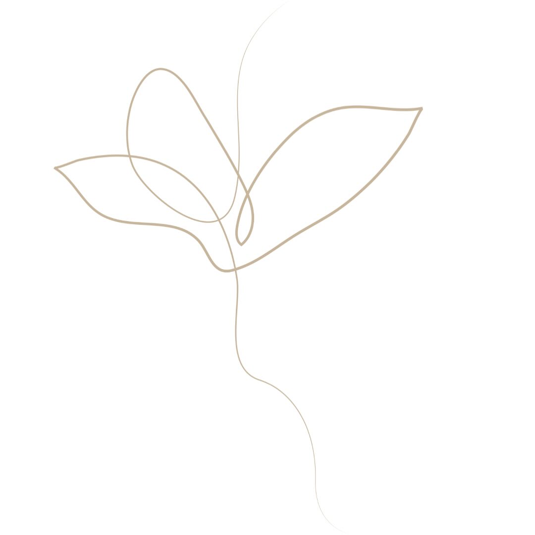 Maradj természetesen szép 🌱🤍
#szépségápolás #szepsegapolas #kozmetikabudapest #szepsegszalonbudapest #budapestkozmetika #szépségszalonbudapest #szépségszalon #fashionbeautyszalon #fashionbeautyszepsegszalon #maradjtermészetesenszép #óbuda