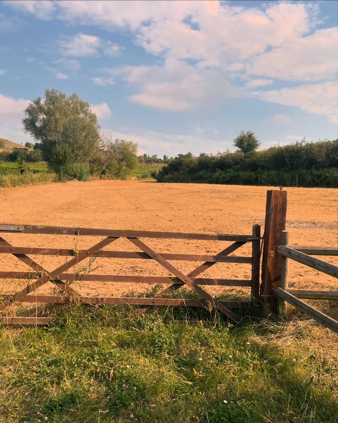 Looking to relax? Looking for peace and quiet? A place for the kids to run around and make noise without worrying about upsetting the neighbours? We’ve got 11 acres for you! #relax #unwind #holidaymodeon #summer #southoffrance