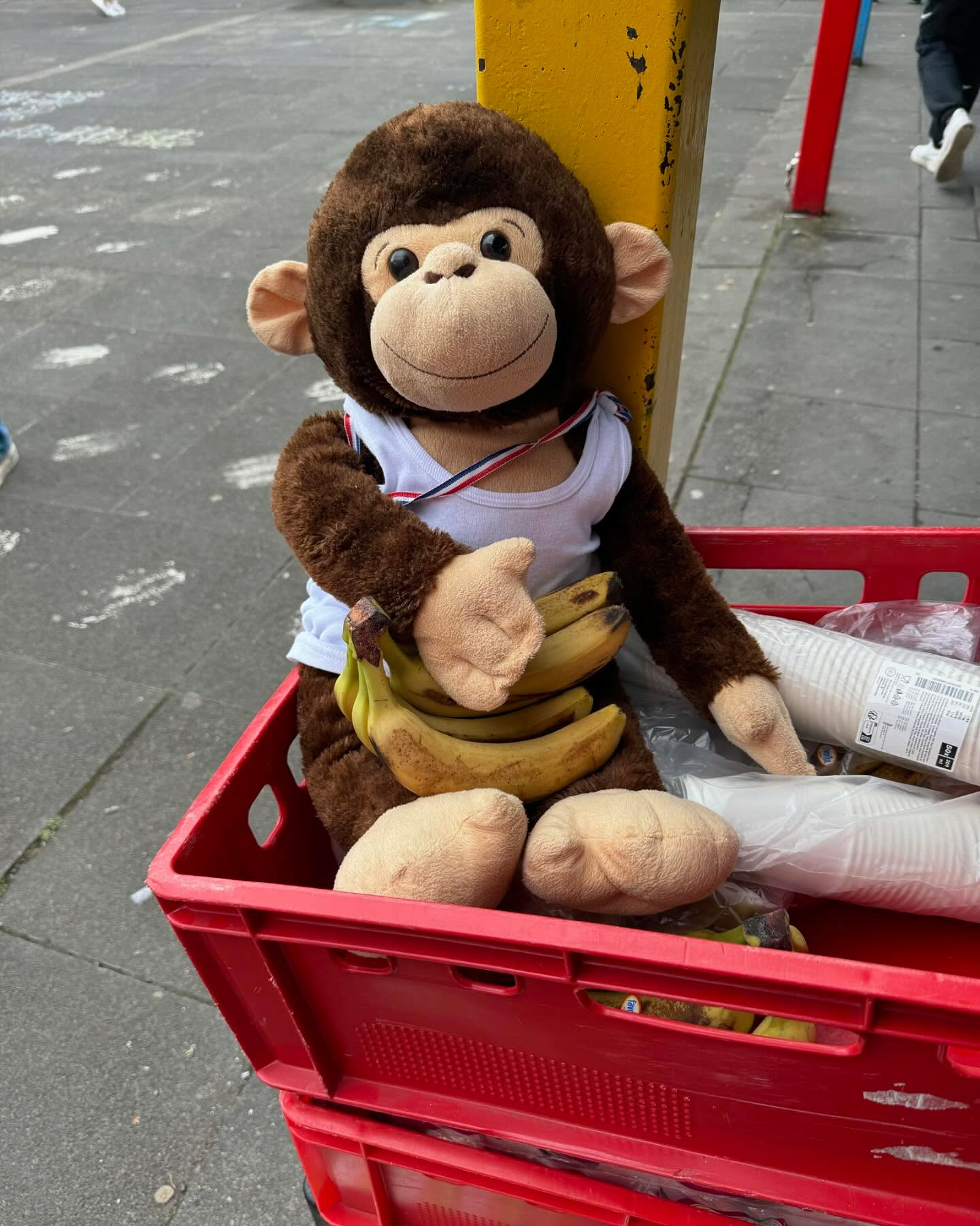 Amöbe im Abenteuerland🐒😎