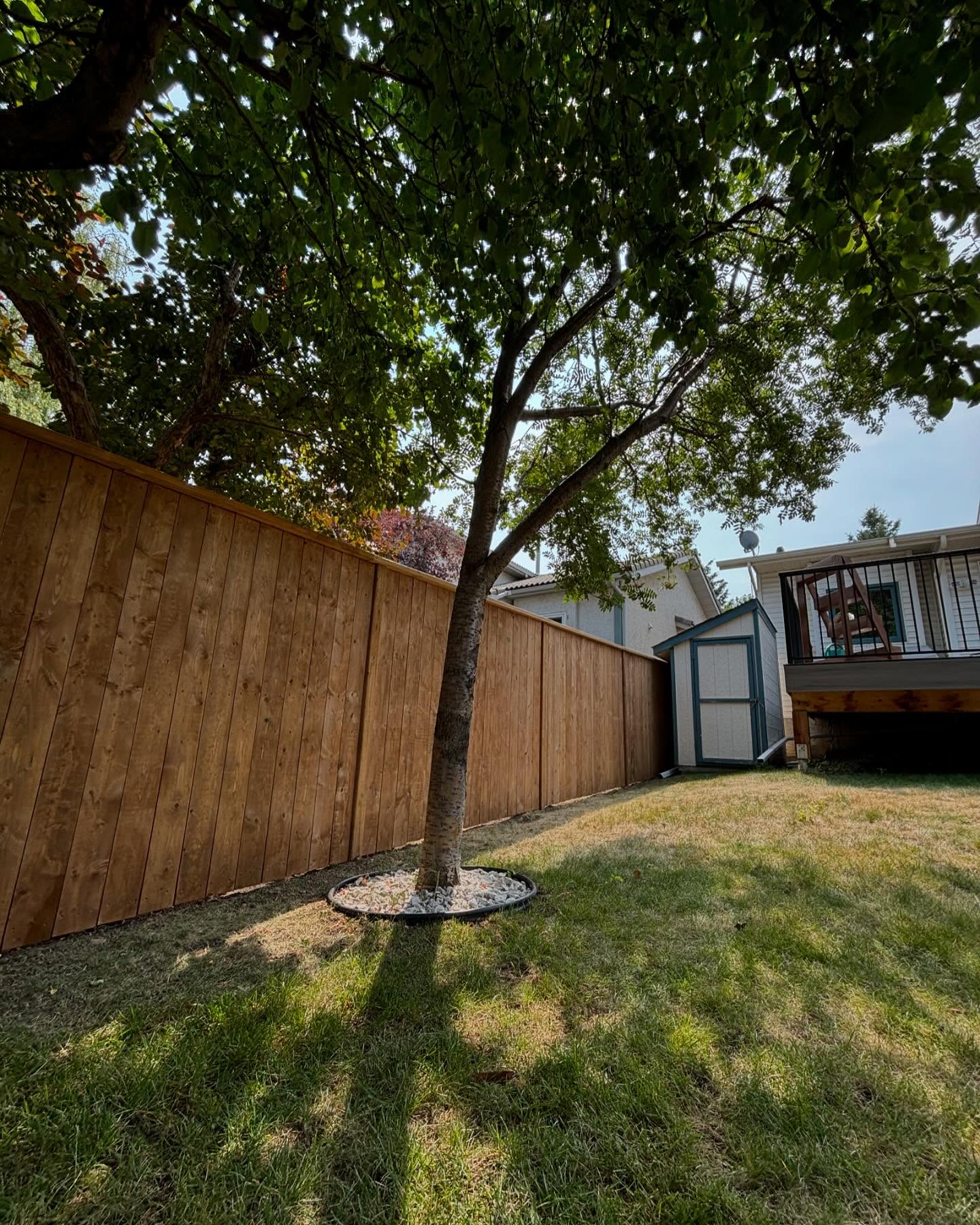 A new fence can change a yard. This was a big one and it turned out beautiful.
Contact Dana Rolles at Greener Building
for your free quote today.
Phone: (403) 992-4208
Email: dana@greenerbuilding.ca
•
•
•
🇨🇦
#fence #lumber #landscaping
#renovations #construction #yycconstruction #yycrenovations #renos #design #photo #contracting #contractors #yyccontractors #supportlocal #smallbusiness #carpentry #carpenter #wood #woodworking #calgary #alberta #yyc #gc #greenerbuilding #smarterbuilding #dailygrind #selfemployed #frametofinish #yyclocal