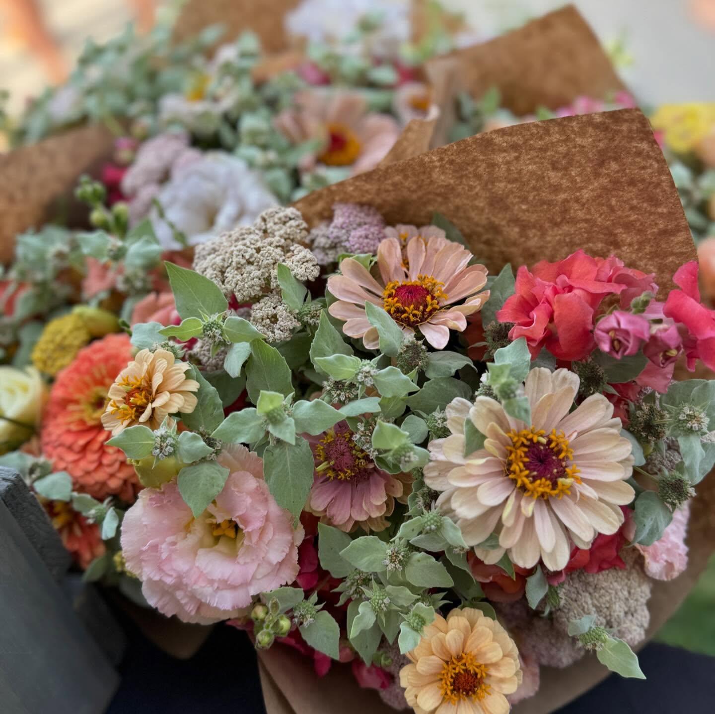 We’re back at the @provofarmersmarket with fresh beautiful blooms.
We’d love to see you!
#makeutahbloom #utahflowerfarm #provofarmersmarket #provo