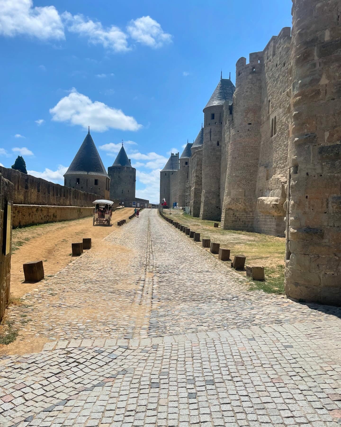 Carcassonne castle 🏰 A must see when holidaying in this region. #carcassonne #southoffrance