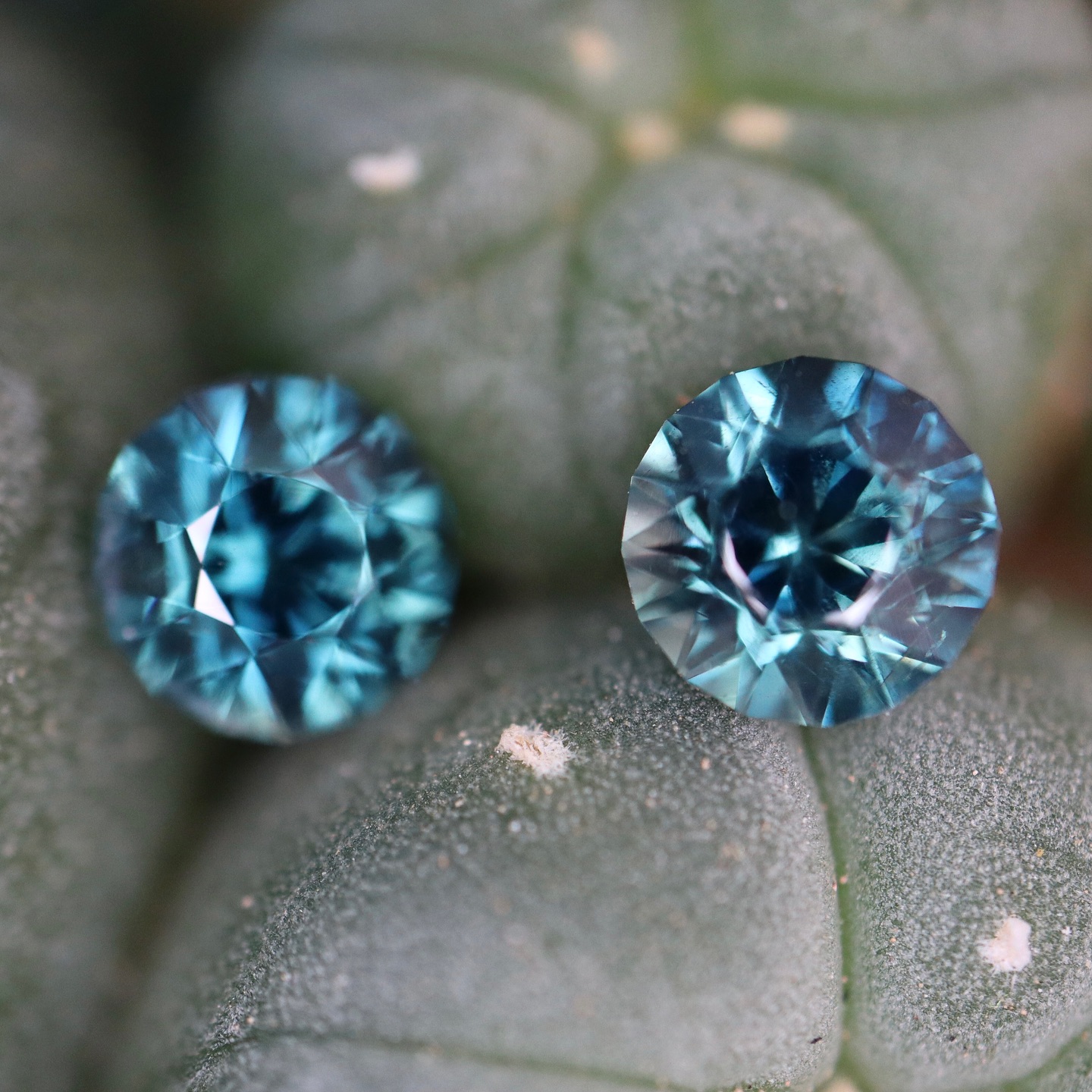 Pour célébrer la chaleur de l’été, nous avons choisi de vous présenter un appairage tout aussi éclatant ! 💎
Ces deux saphirs d’Auvergne de 0,74ct chacun , taillés en rond brillant de 5 mm de diamètre, sont vraiment exceptionnels. ✨
En effet leur brillance est incroyable, mais surtout, il est extrêmement rare que nous ayons deux saphirs ronds de ce diamètre qui se prêtent à former un appairage, car ce sont bien sûr des pierres naturelles et non chauffées. Pour couronner le tout, ils arborent ce magnifique bleu teal qui nous rappelle les nuances de nos précieux océans. 🌊
Bijoutiers, designers ou collectionneurs, découvrez les détails de ces gemmes sur notre boutique en ligne. Et surtout, bel été à vous !
#frenchsapphire #saphirdauvergne #saphirsdauvergne #auvergne #pierreprecieuse #saphirfrançais #ethicalgemstones #pierresnaturelles #naturalsapphire #tealsapphire #tealcolor #saphir #sapphires #ethicaljewelry #jewellery #jewellerydesign #gemmes #naturalgem #naturalgemstones #gemglaz #lapidary #lapidaryart #roundbrilliant #roundbrilliantcut #preciousstones