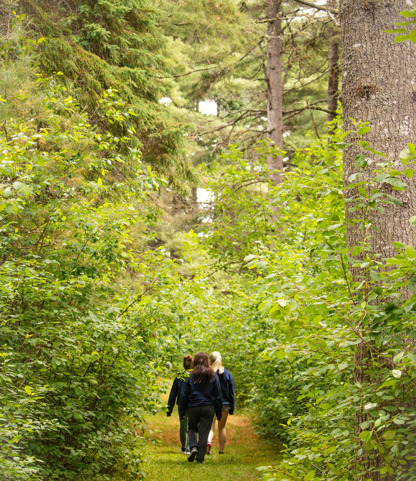 Discover the rich history and natural beauty of Beaubears Island! Our trails are waiting for you! ☀️#BeaubearsIsland #ExploreNB #ExploreBeaubearsIsland