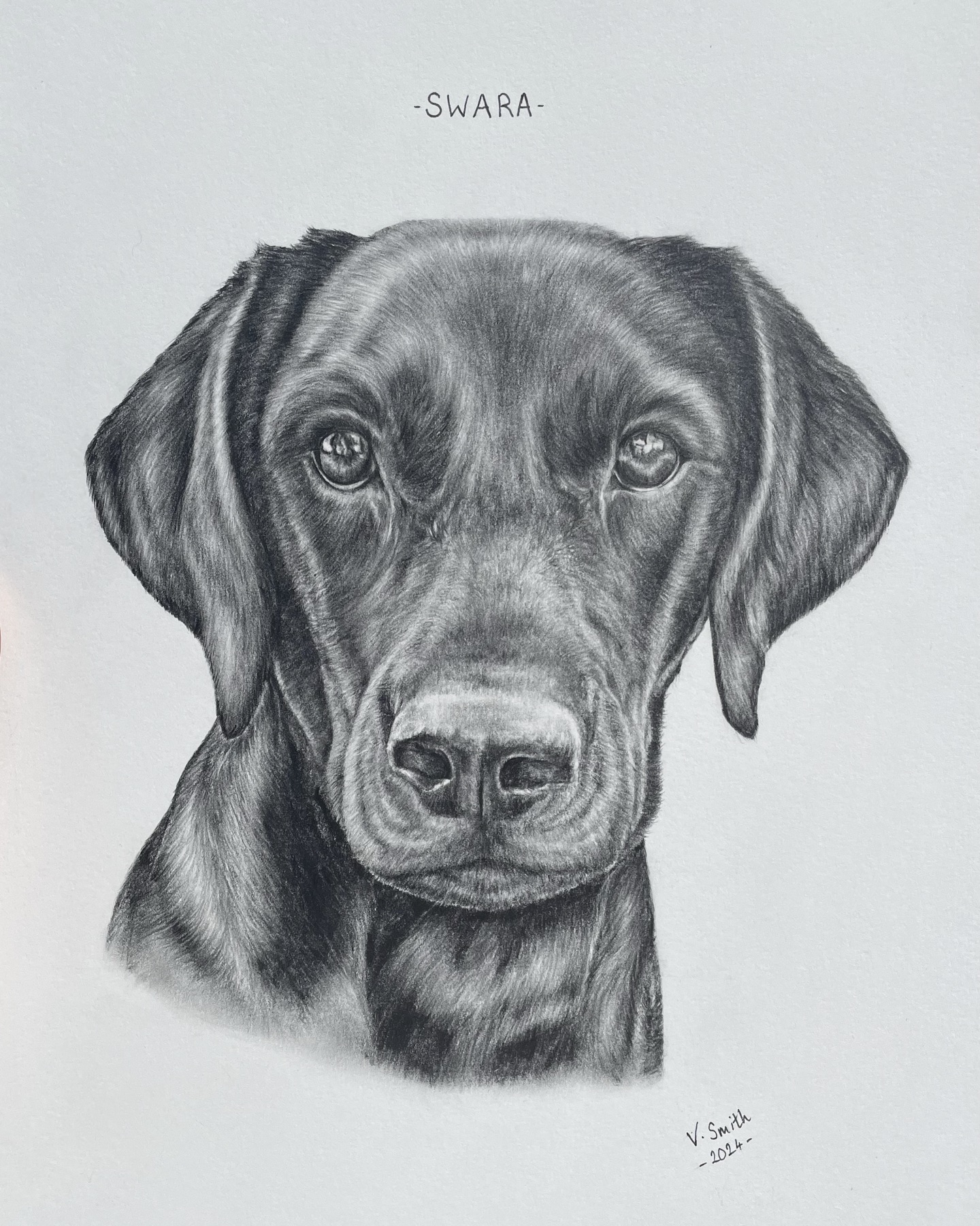Swara 🤍
Happy Birthday Zak! Thoughtfully commissioned by Cielle, your other love!!
9x12” Graphite pencil drawing.
@zak_stephenson @ciellevaughan
#drawing #artist #portraitdrawing #animaldrawing #dogdrawing #dogsofinstagram #commission #definedbytor