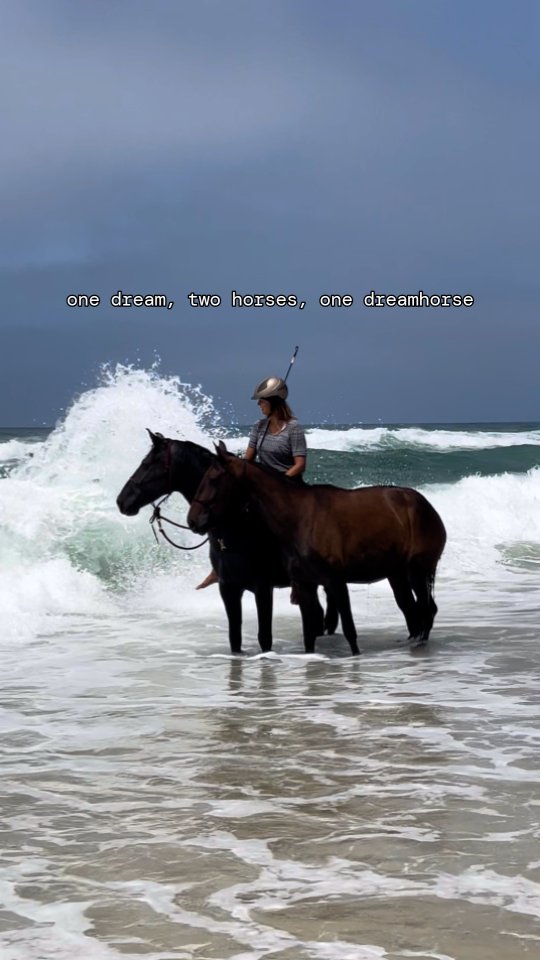 Dreamhorse Quira doing amazing for being ponied for the first time on her second beachday 💙.