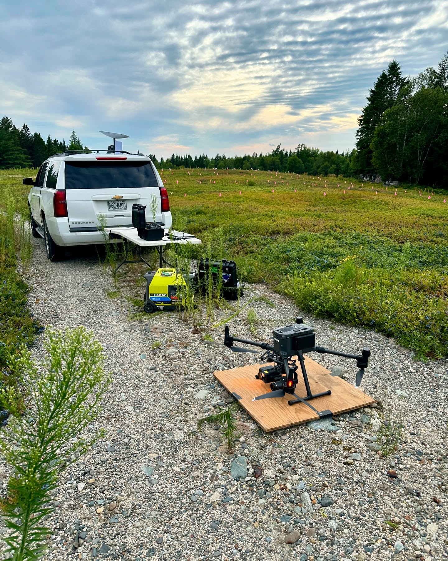 UMaine mechanical blueberry harvester efficiency project. Testing new rake designs. We are imaging test plots before and after for a PH D student’s computer counting model #machinelearning #dronedata