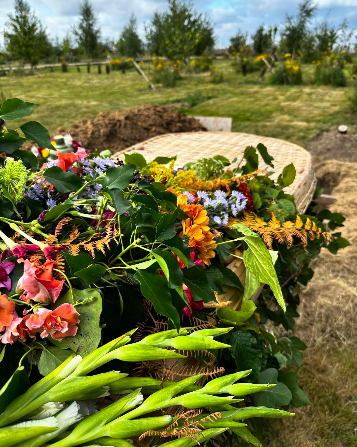 Today saw a desperately sad, but incredibly beautiful farewell to an adored father who left his four children and nine grandchildren too soon ♥️
Riverview Natural Burial Ground
#funeralcelebrant
#naturalburial
#holisticfuneral
#funeral
#celebrant
#celebrationoflife
#funeraldirector
#funerals
#funeraldirectors
#memorialservice
#funeralservices
#funeraltraditions
#funeralarranger
#civilcelebrant
#funerallife
#funeraltradition
#celebratinglife
#eulogy
#ukcelebrant
#independentcelebrant