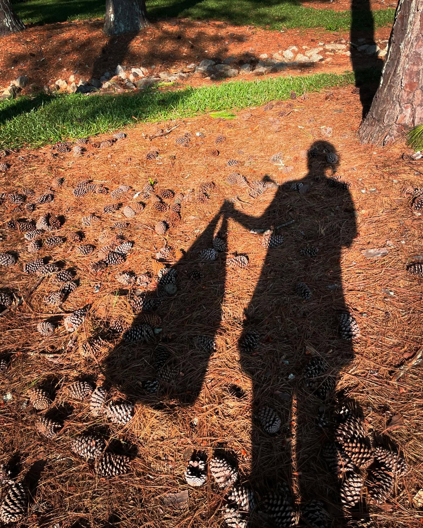 Good morning. At the park this morning playing ball 🎾 with my pup 🐶 AND looking like a full on crazy lady with my giant TJMaxx bag 🛍️ collecting pinecones to make fire starters for your fire pits this fall 🍁. Uhhhh yeah, don’t mind me….. nothing to see here 👀 .
🤣🤣🤣🤣
#whiffcandlecompany #whiffcandleco #firestarters #falliscoming #firepits