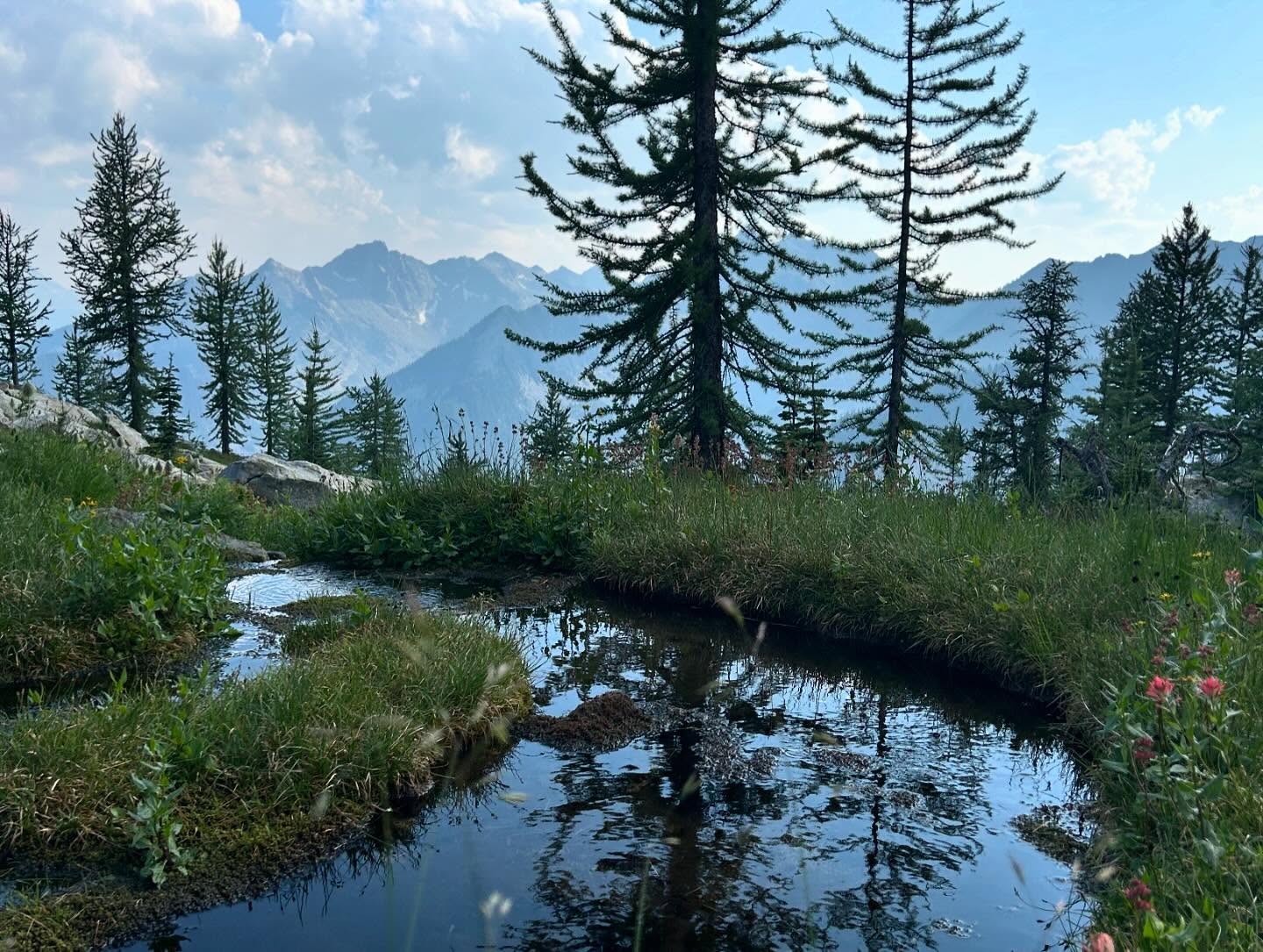Carlyle lodge #kootenaylife #carlyle #kaslobc