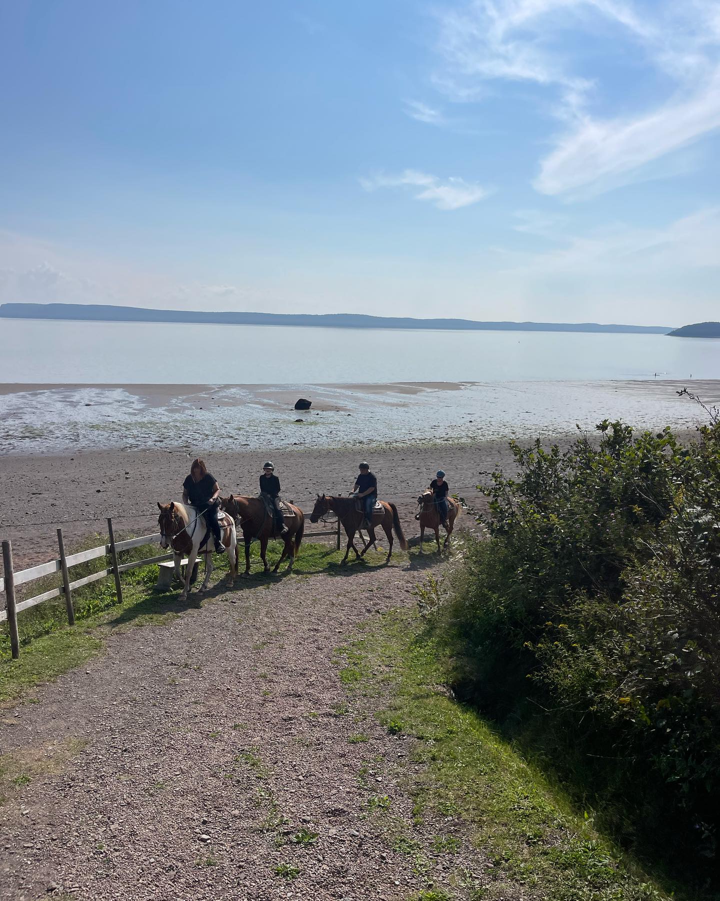 Beautiful day to ride on the ocean floor and cuddle a sweet bunny โ๏ธ๐ฐ๐ด #spiritreinsranch #bayofundy #beautifulday
We are almost all booked up for this riding season but make sure too call and book a ride for late fall or next summer !!!
โHow lucky are weโโ๏ธ