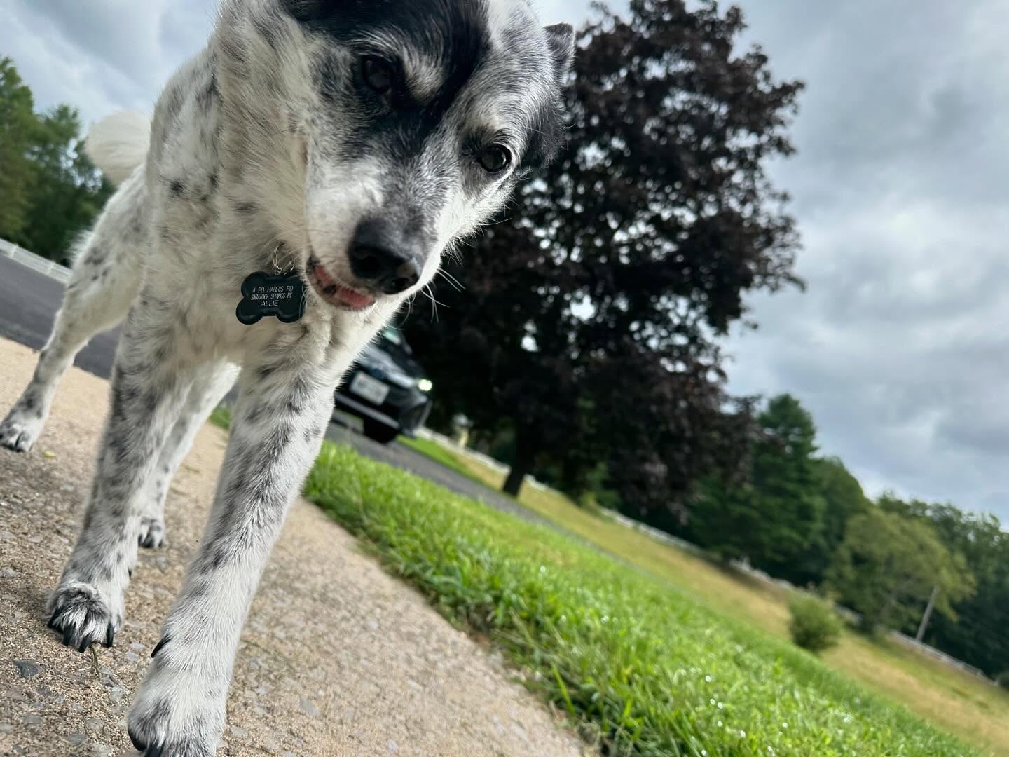 This is Allie and 16 years old never looked so good! ๐