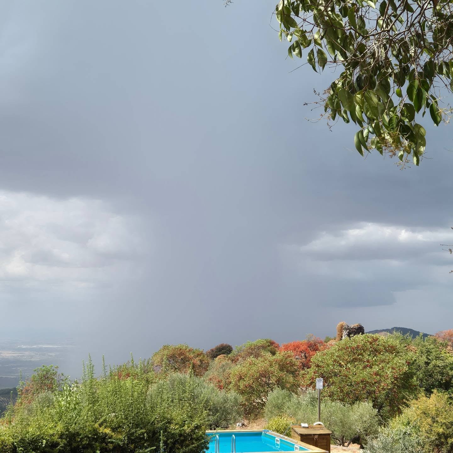 Watching rain from our patio. What a beauty! If only this Rain came down yesterday. Could have saved the beautiful forest hill.
Now I pray the rain comes to my land. My trees need it!!!