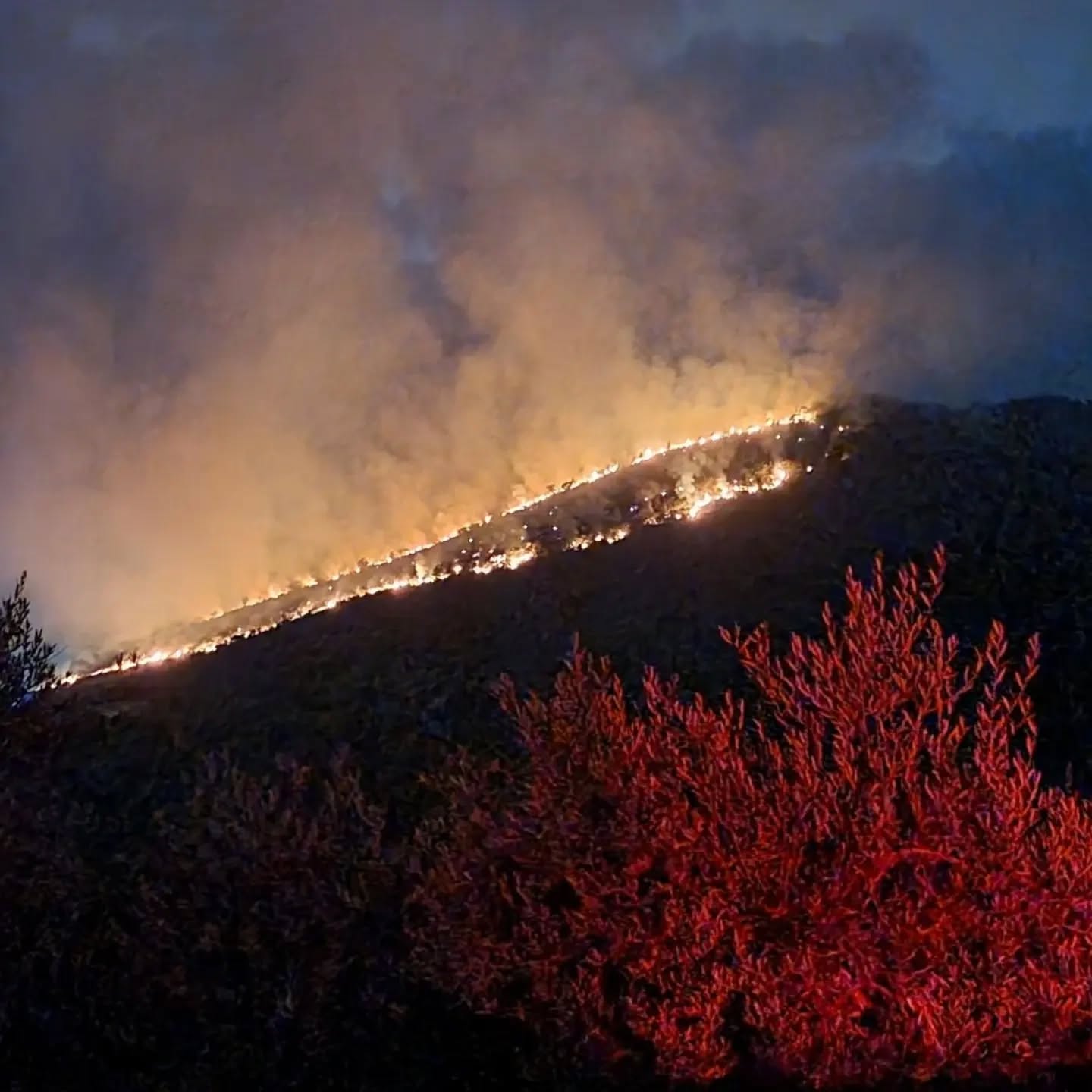 Another fire in the region last night. It was on a neighboring hill, and we kept a close watch. News of fires now give me so much stress.🙄😒. It started late in the evening, so no air support/helicopters/ Canada air planes could come help. So the fire kept burning until dawn.