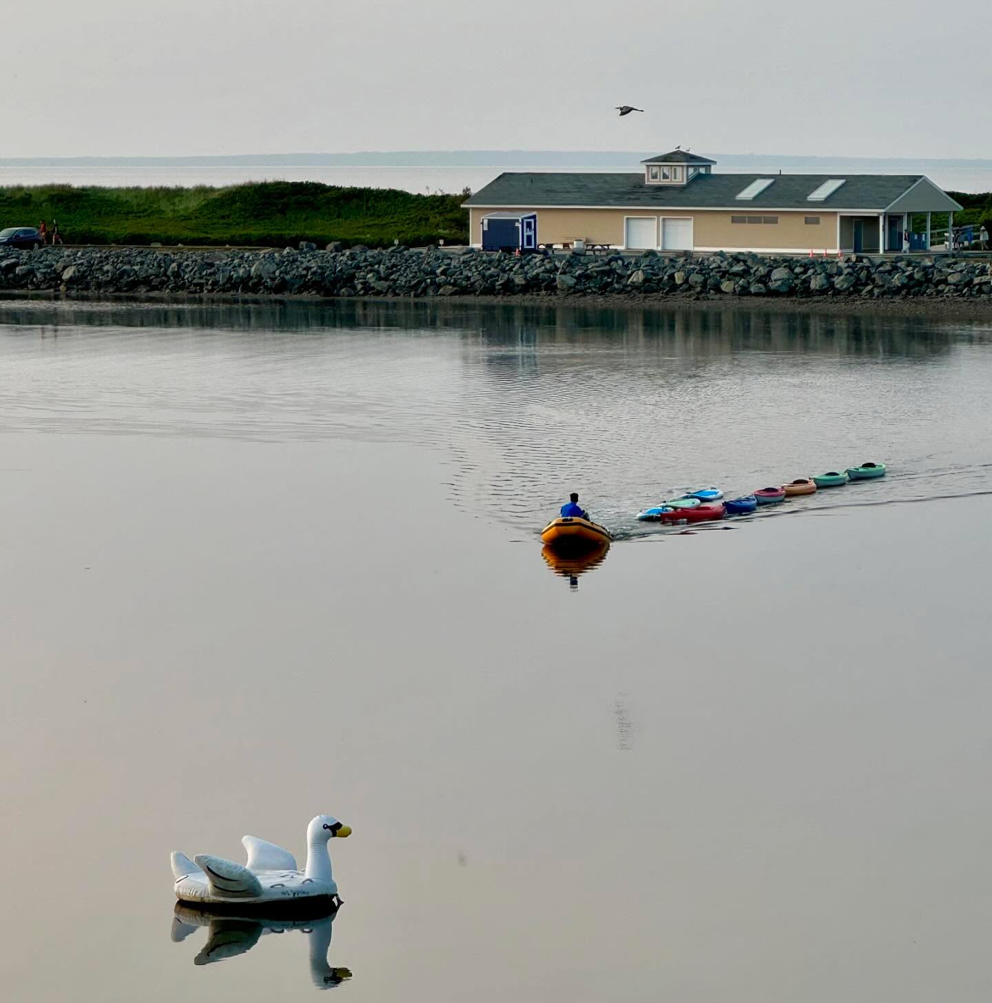 What a day it was to be on the water, thank you to all our fantastic customers. Tomorrow, Sunday Aug 18th we will be closed at the beach due to our part at family fun day, sponsored by @townofnewglasgow at @glasgowsquare we will re-open at the beach at 6pm for rental reservations