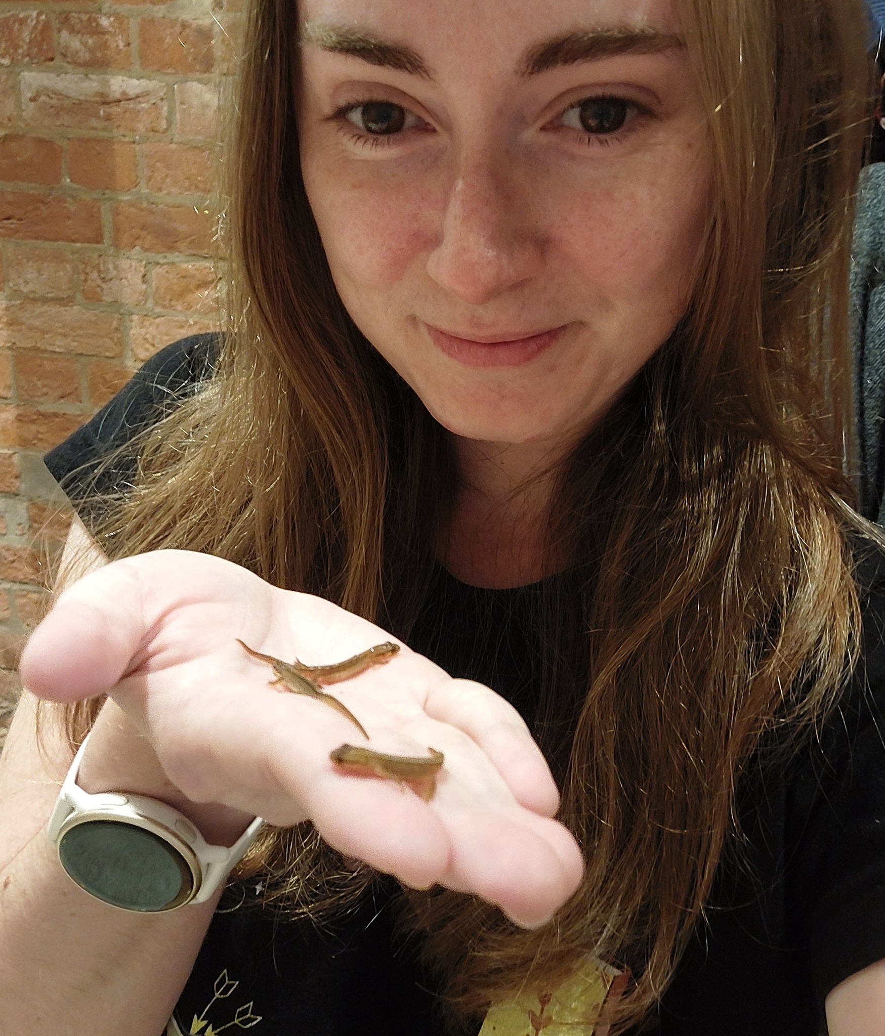 Editing in good company today—these baby newts are all about the fine print!
#bookeditor #entrepreneur #amediting #freelanceeditor #editor #workfromhome #noveleditor #indieauthor #businessowner #indiesareworthit #freelancer #freelance #indieauthorsofinstagram #aspiringauthor