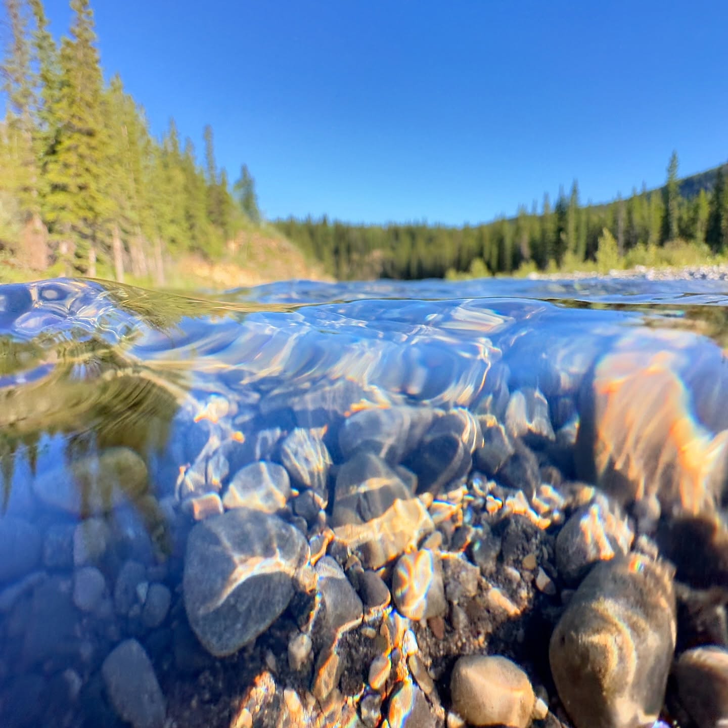 LOCATION CHANGE!
This Sunday, Aug 25, we will be meeting at Rick and Diane’s in Priddis, 252148 - 2157 Dr. W, Foothills. 10am, bring a lawn chair and a side dish, a BBQ lunch will be provided after the service!