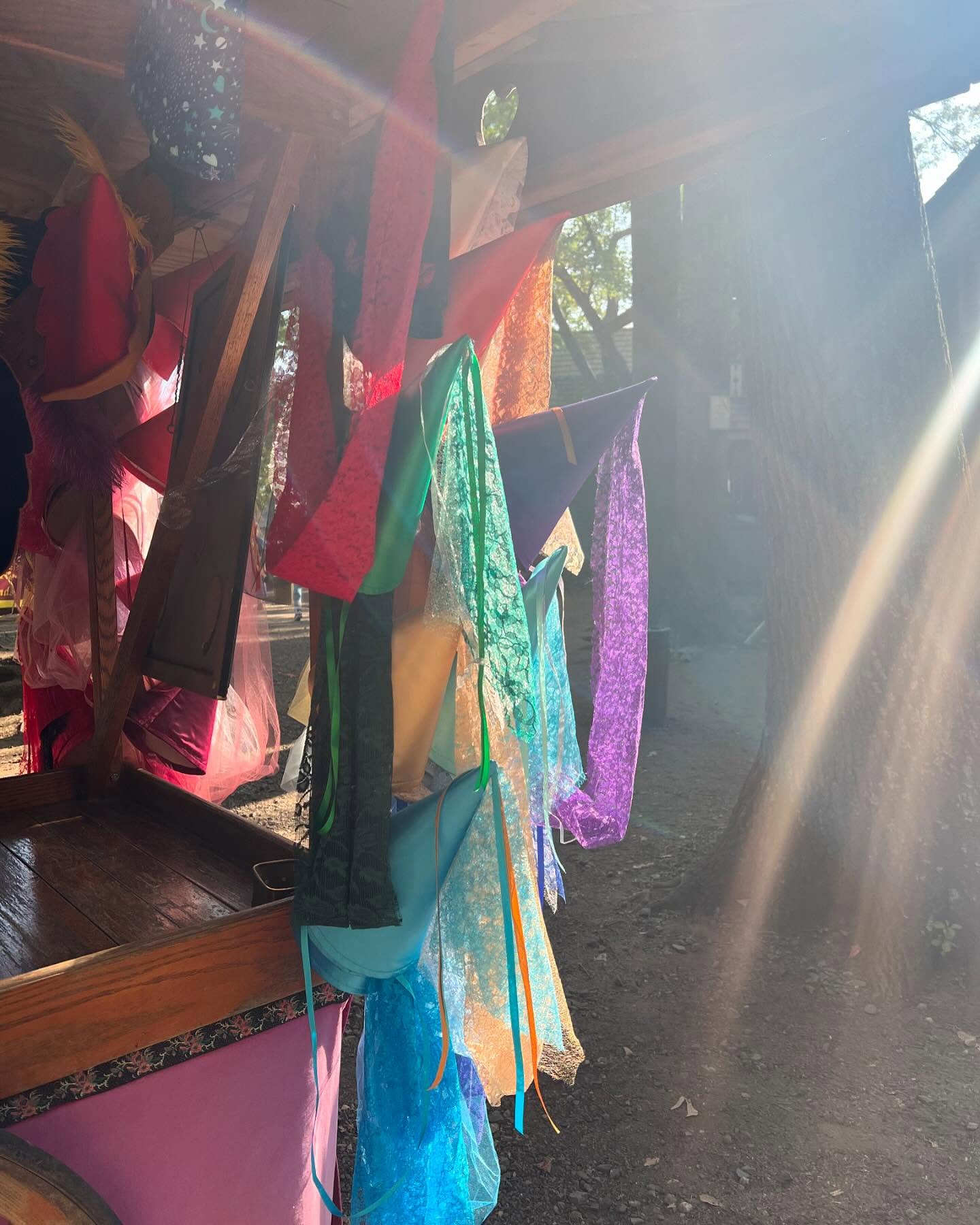 Love the hat cart in the late afternoon light. We had a beautiful opening weekend of Maryland Renaissance Festival!
#mdrf #mdrennfest #marylandrenaissancefestival #renaissance #renaissancefestival #qheart3 #garb #renaissancecostume #costumeshop #dressforthyself #everyonecanbeaprincess