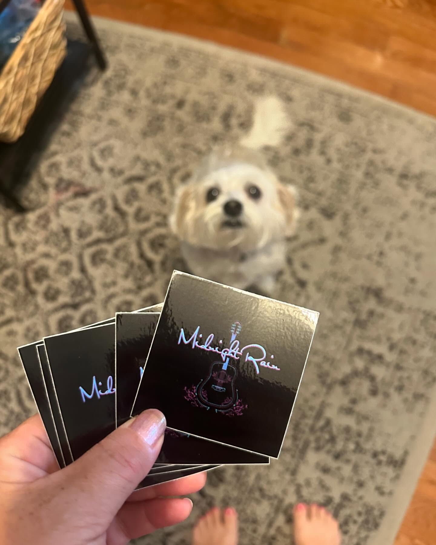 What surprise song do you want to hear on September 6th at the Vanguard?! Oh also, we got new stickers!!! 😜🫶