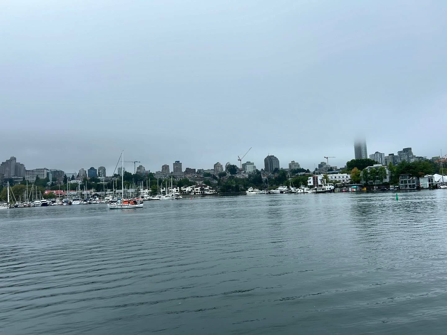 This little life☔️☕️