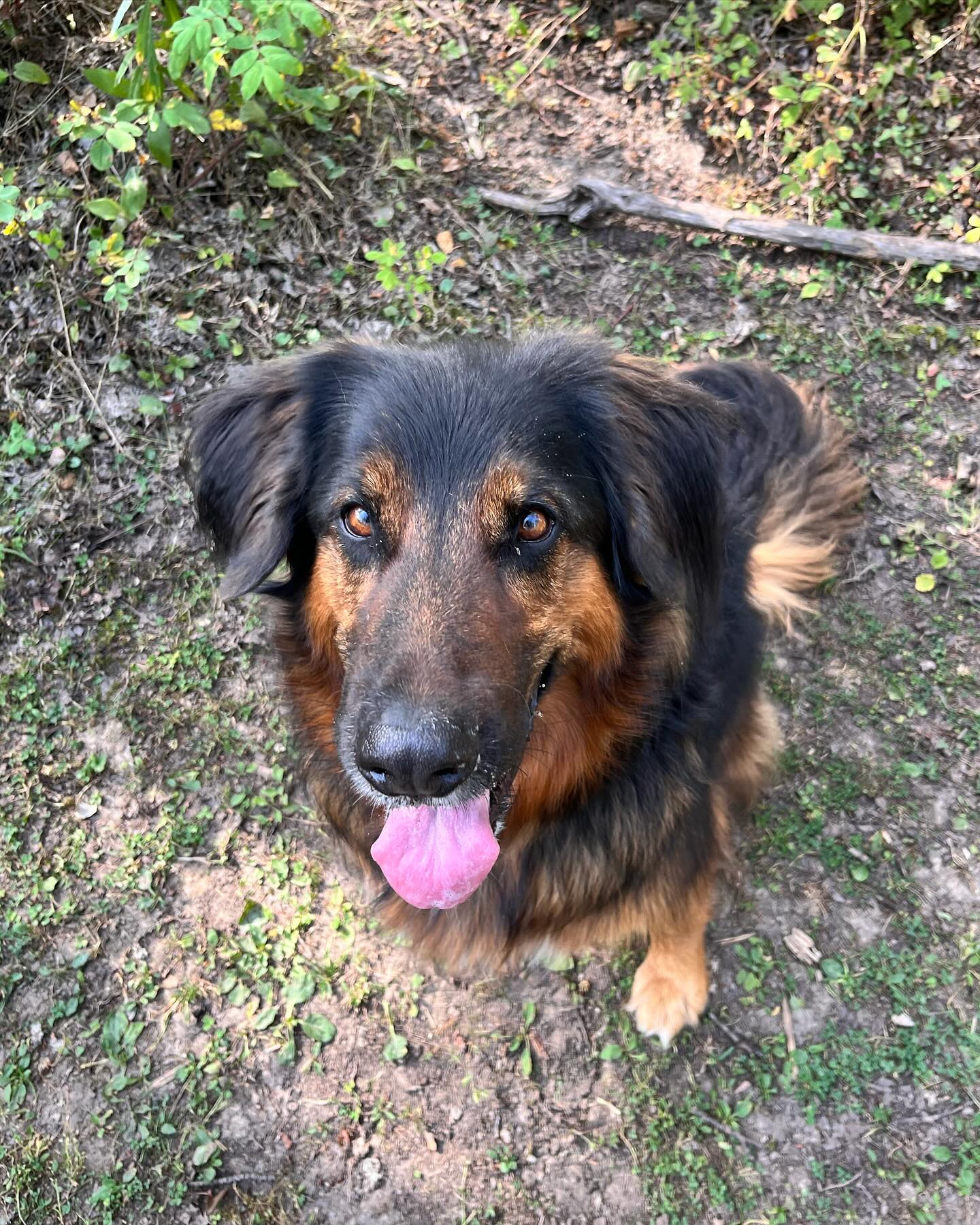 Darling Marley 💕 Can’t get enough of this sweet girls happy smile!