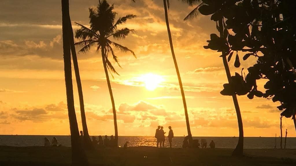 A cold Lion Beer and a Gurubebila Sunset awaits you here at @lionsrest this coming season. 🦁🇱🇰 Book Direct for the best online rates ☀️🏄♀️