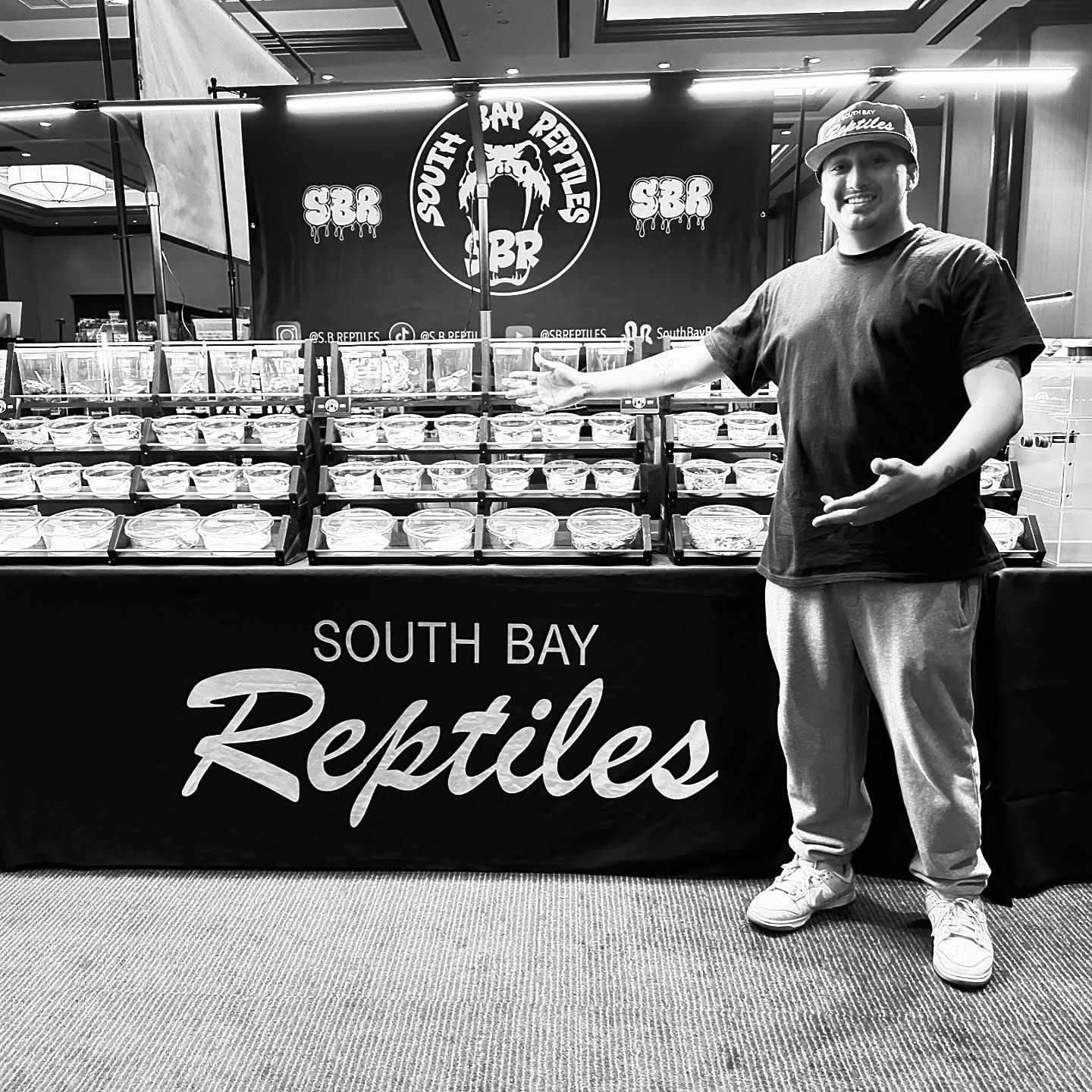 Shout out to @s.b.reptiles vending by us this weekend at the #lasvegasexoticpetandreptileexpo with a slick array of #marvelreptilesupply #elevateddisplayracks. I have to say that these racks makes his booth look top level…literally! Thanks brother for choosing these racks to match your super high quality animals!