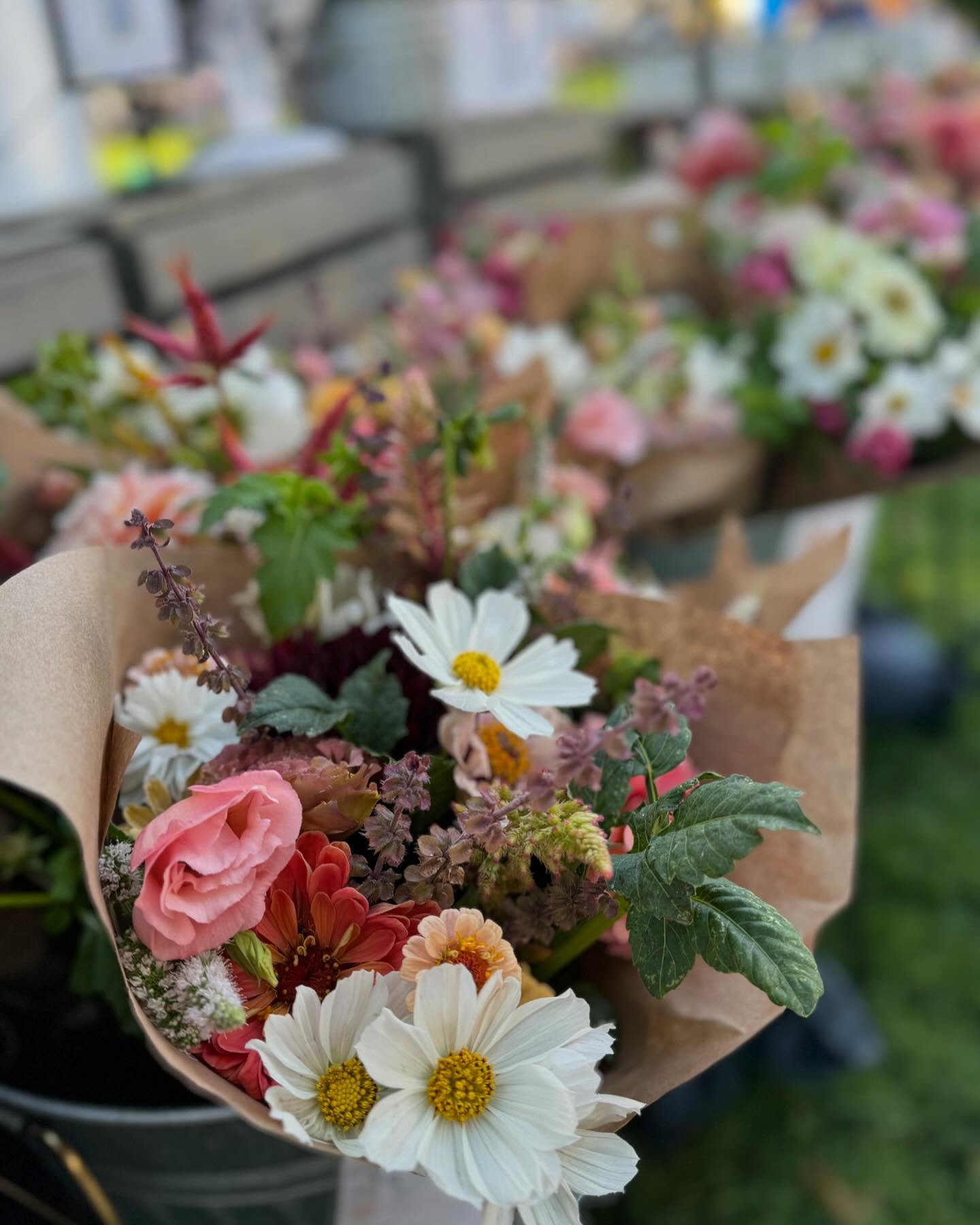 We’re back! Come see us at the @provofarmersmarket today! We just opened, and the bouquets are already flying, so come early to get one!
#provofarmersmarket #makeutahbloom #utahflowerfarmer #provogrown #downtownprovo