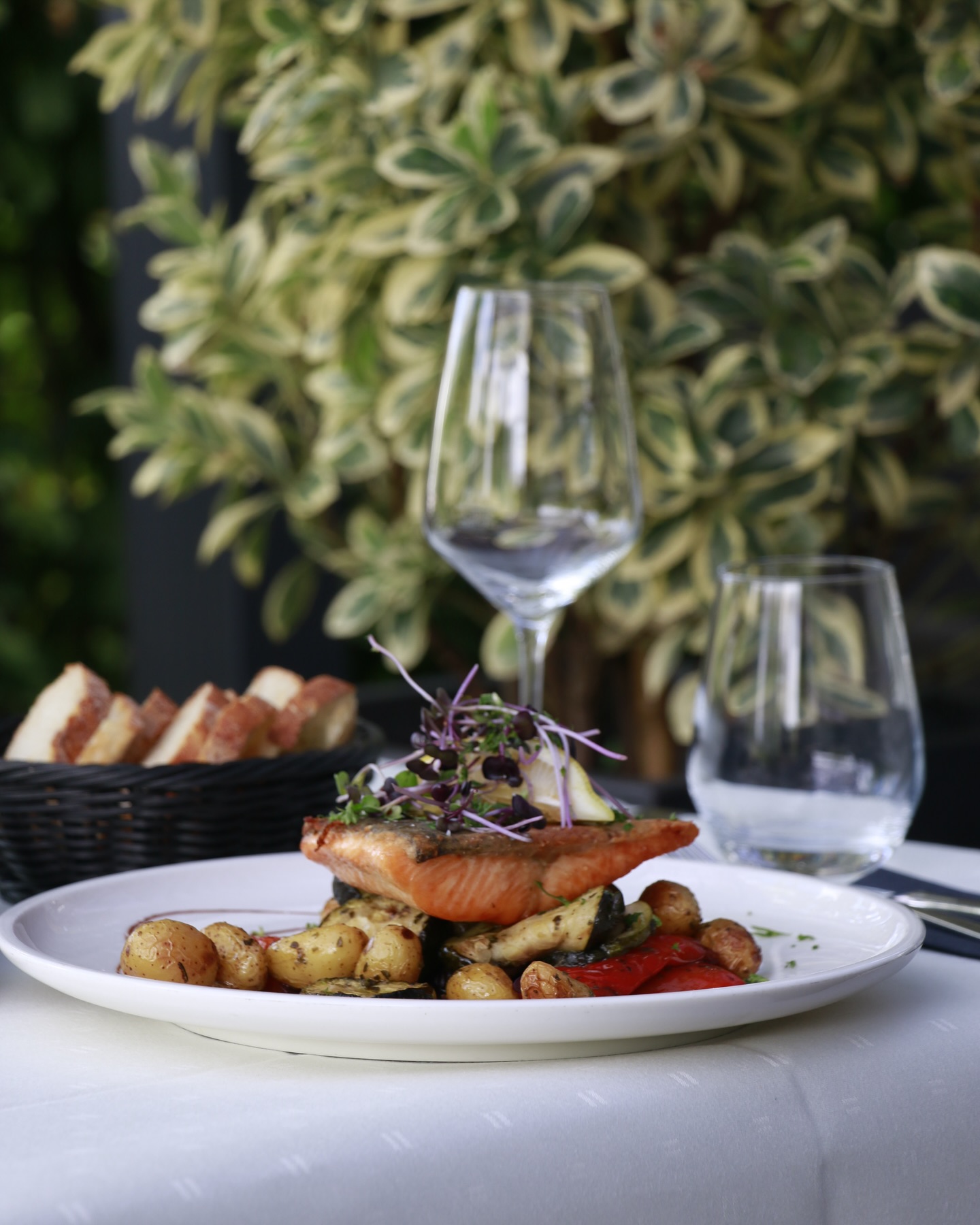 Filet von der Lachsforelle
Gegrillte Lachsforelle vom Forellengut Rosengarten · Rosmarinkartoffeln · Grillgemüse
Wir freuen uns auf euren Besuch. Reservieren könnt Ihr hier:
💻 www.maimuehle.de/tisch-reservieren
✉️ info@maimuehle.de
☎️ +49 6867 911 317 0