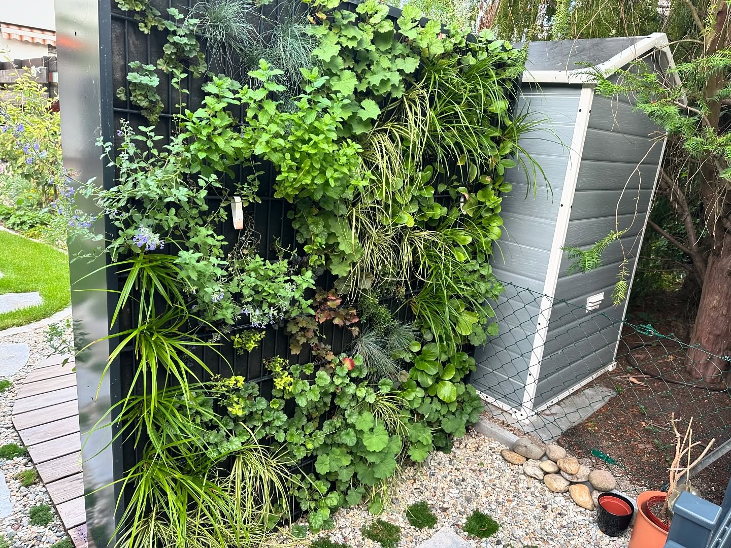 In den letzten Wochen haben wir einige Meter von der Pflanzen-Gabione aufgestellt und bepflanzt.
Ca 60 m in verschiedenen Höhen, einseitig und auch doppelseitig bepflanzt, pulverbeschichtet und als Zaunelement im heimischen Garten.
Ca. 6000 Kleinballenstauden wurden verpflanzt…
Und ein Projekt aus dem letzten Jahr haben wir begutachtet und ein Folgeangebot für den Kunden erstellt.
Haben wir eurer Interesse für einen bepflanzten Sichtschutz geweckt? Dann kontaktiert uns und wir erstellen euch ein Angebot.
#pflanzengabione #bienenfreundlich #insektenfreundlich #zukunftgrün #sichtschutz #stauden #gartengestaltung