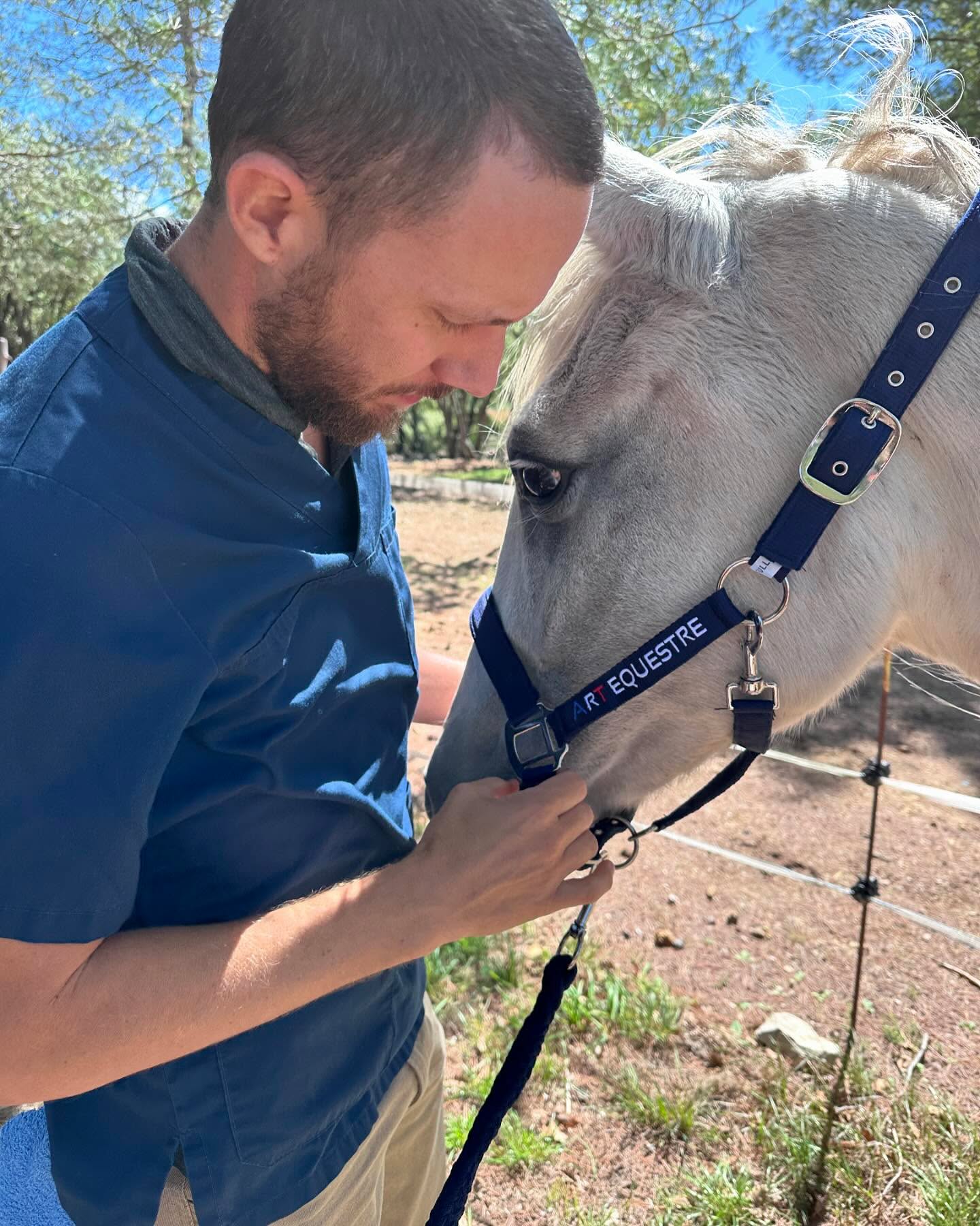 🌸 Epona voit le dentiste 🌸
Pour ceux qui me connaissent, vous savez à quel point j’aime les animaux.
Epona c’est cette petite jument qui vivait à 2 pas de chez moi et dont j’ai appris le « sauvetage » sur les réseaux sociaux de mon village il y a une semaine.
C’est donc naturellement que je lui ai rendu visite dans sa nouvelle maison à l’@association.tanka 🥰
J’ai décidé d’œuvrer aux côtés de l’association TANKA, pour le bien de cette pépette de 32 ans qui a besoin de soins adaptés à son âge.
Notre ami @y.pradurat dentiste équin a accepté de venir rapidement vérifier les dents de la jolie mémé 🦷
Epona a été très gentille et coopérative, elle a très vite compris l’intérêt de la visite de Yann pour son avenir ☺️
Sa dentition étant celle d’un vieux cheval de plus de 30 ans, il va donc falloir adapter son alimentation ! En plus des fibres déjà apportées par Sabine, la propriétaire de l’association, et du foin pour « le moral » il va falloir distribuer en plus des bouchons de foin trempés pour aider Epona à reprendre les kilos qu’il lui manque.
Il est important de comprendre les besoins d’un cheval au fil de sa vie, et de lui apporter les soins dont il a besoin.
L’association compte presque 40 équidés et quelques animaux de ferme.
Si vous souhaitez soutenir l’association, vous pouvez les contacter via leurs pages Instagram ou Facebook ou nous DM, nous vous transmettrons leurs coordonnées 🙏
Art Équestre est une grande famille 🥰 et elle s’est agrandie avec Epona ! Vous pourrez suivre ses aventures sur notre page ou celle de l’association 💕