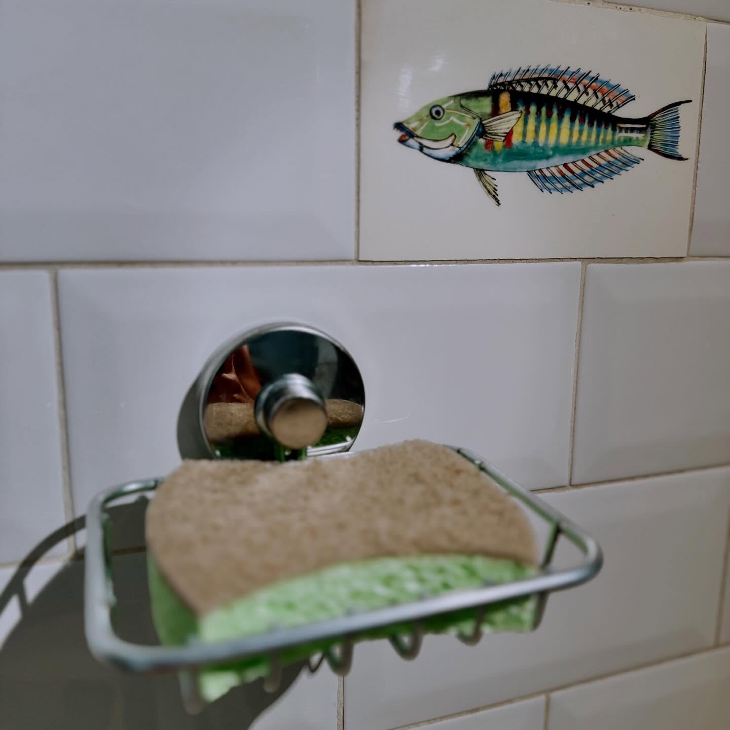 🧼 Biodegradable Sponges - No more micro-plastics down the drain. Worn out? Through the sponge in the compost bin and ask for a new one. Clean dishes and a clean environment! 🌿#smallthingsmatter #newseasoniscoming