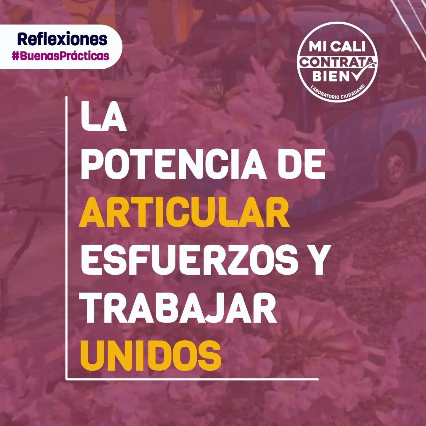 #Reflexiones de #BuenasPrácticas Es muy potente articular esfuerzos entre el sector público y privado 🚀
🏬 El trabajo articulado, la escucha activa y apertura de información entre el sector público y privado (organizaciones de la sociedad civil, universidades, empresas, entre otros) enriquece los procesos y genera mayor confianza en la Administración pública. 👍🏽
📊 Más información del Kit de Buenas Prácticas en contratación entregado a la @alcaldiadecali, ingresa a bit.ly/KitBuenasPrácticas
📍Mi Cali Contrata Bien es Datos que Hacen Ciudad junto con @uav_valle, @calicomovamos @calivisible y #CaliParaMi. Te invitamos a conocer más información en bit.ly/DatosCiudadCali
#BuenasPrácticas #Contratación #Ciudadanía