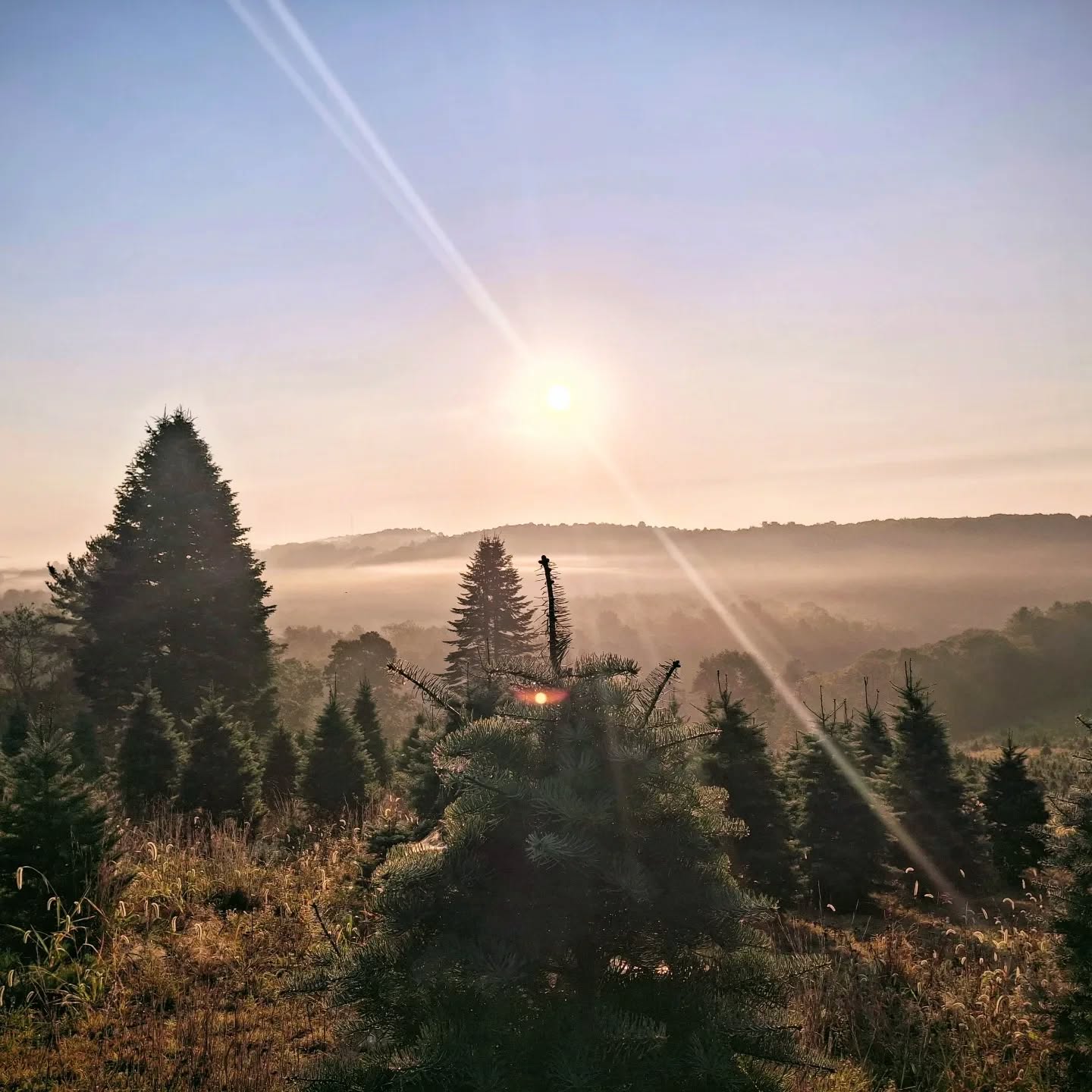 Sunrise on the farm