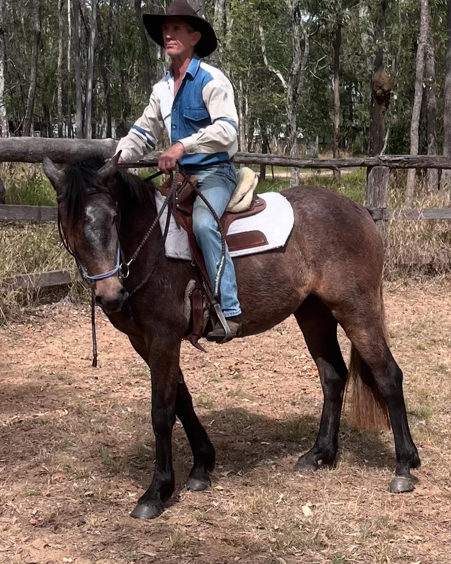 First rides for the babies today. All very good kids.☘️