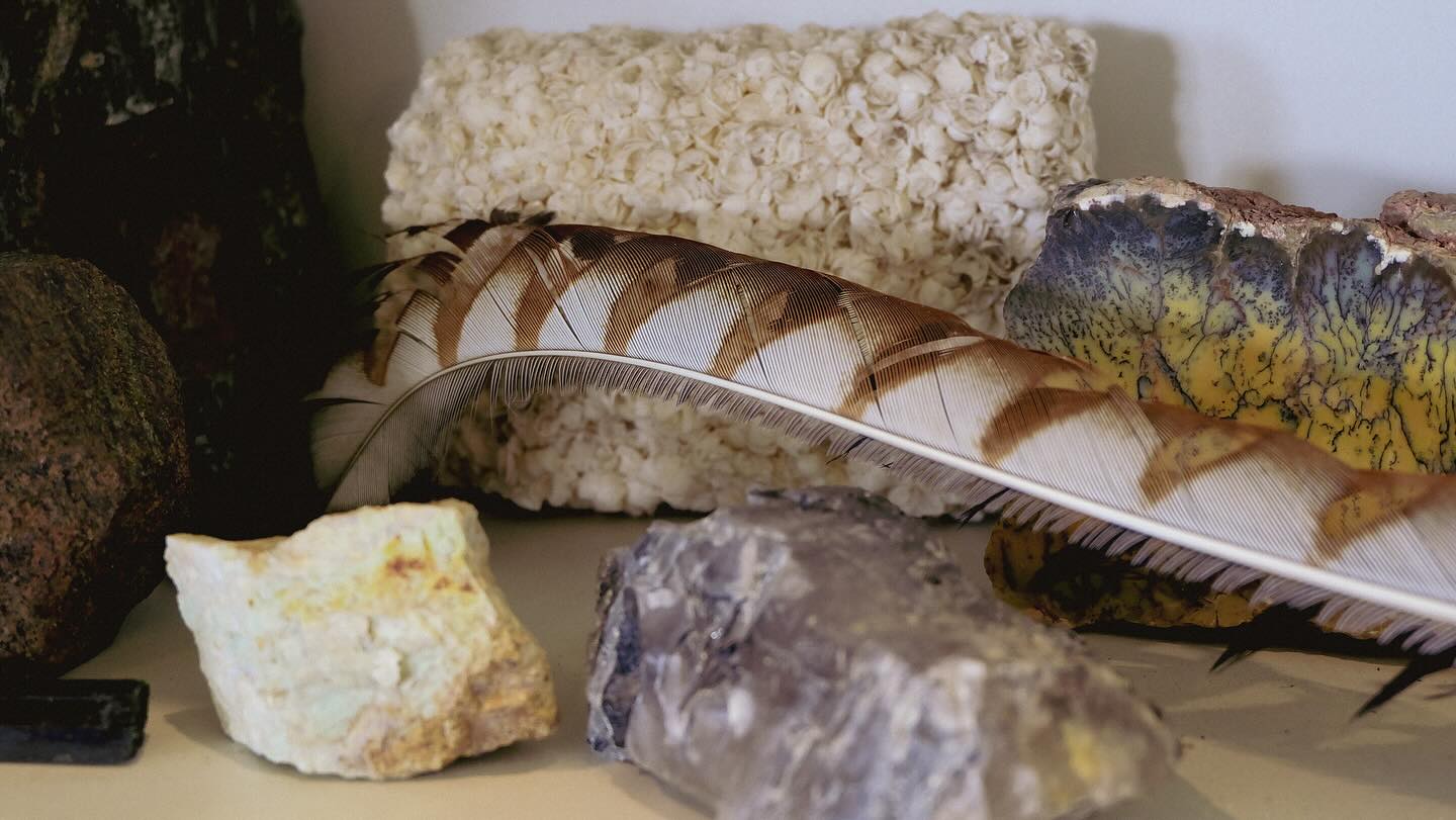 “Gary could see the broader potential for the region to be environmentally robust in tandem with productive farming. It was a vision where economic and ecological wealth would flow from farmland protected and enhanced by adjoining vegetation”
In May of this year, we said goodbye to Gary Wallis - Fish Creek local, field geologist, teacher, scientific consultant, farmer, rock specialist, lyrebird fanatic and founding member of @promcoastecolink.
Gary first conceived the idea of a South Gippsland biolink network 40 years ago, originally named the Lyrebird Link, to protect the remnant Superb Lyrebird population. His vision will continue through the work of PCEL as we advocate at all levels for the sustainable and flourishing coexistence of agriculture, tourism and nature in our region.
Gary has been honoured in the latest issue of @gippslandia in a piece by PCEL chair Anda Banikos.
The team behind Prom Coast Ecolink continue to extend their thoughts to Gary’s family during this difficult time.