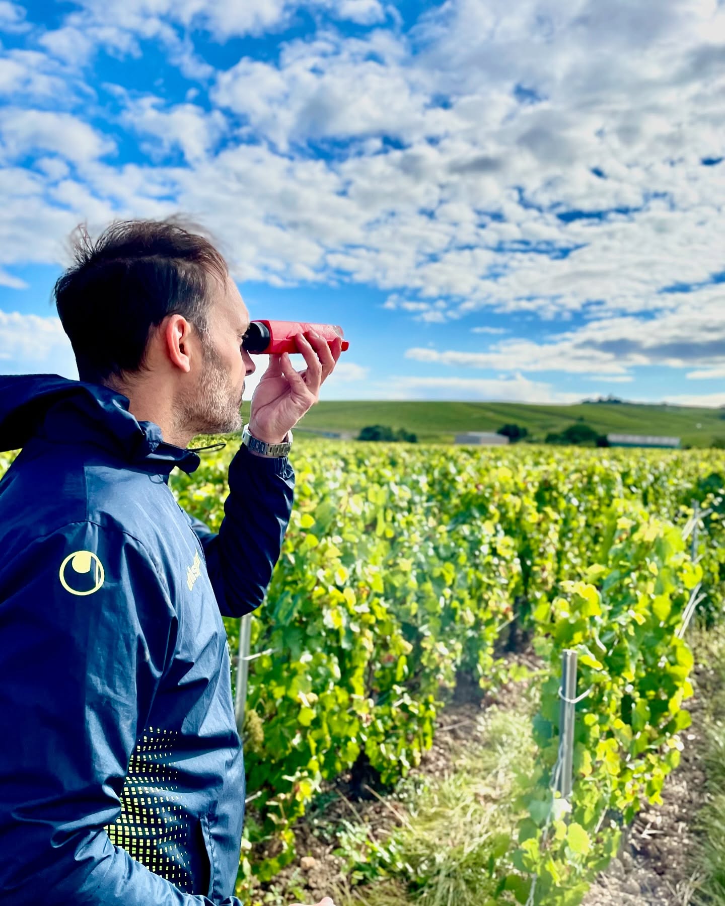 Avant d’entamer les vendanges, il est important pour nous de vérifier et de goûter chaque parcelle afin d’établir l’ordre de cueillette. 🍇🍾
Before starting the harvest, it is important for us to check and taste each plot to determine the picking order. 🍇🍾
#harvest #vendange #vendangeenchampagne #champagnedevignerons #vigneronindependant #grapes #vine #maillychampagne #grandcru