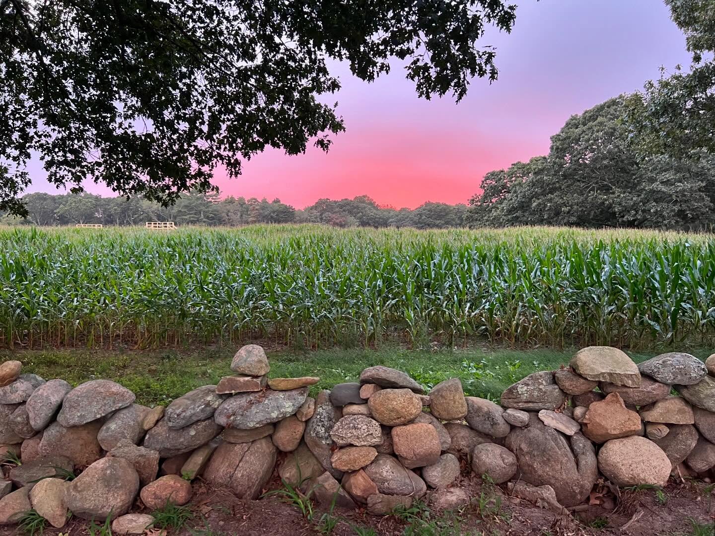 An amazing night @clarkfarmsri in Matunuck last night hosted by @srichamber
The Taste of Southern Rhode Island is truly one that should not to be missed - thank you to all the restaurants who served up delicious food and beverages!!!!
.
.
.
#matunuck #beach #rhodeisland #southcountyri #eatlocal #drinklocal