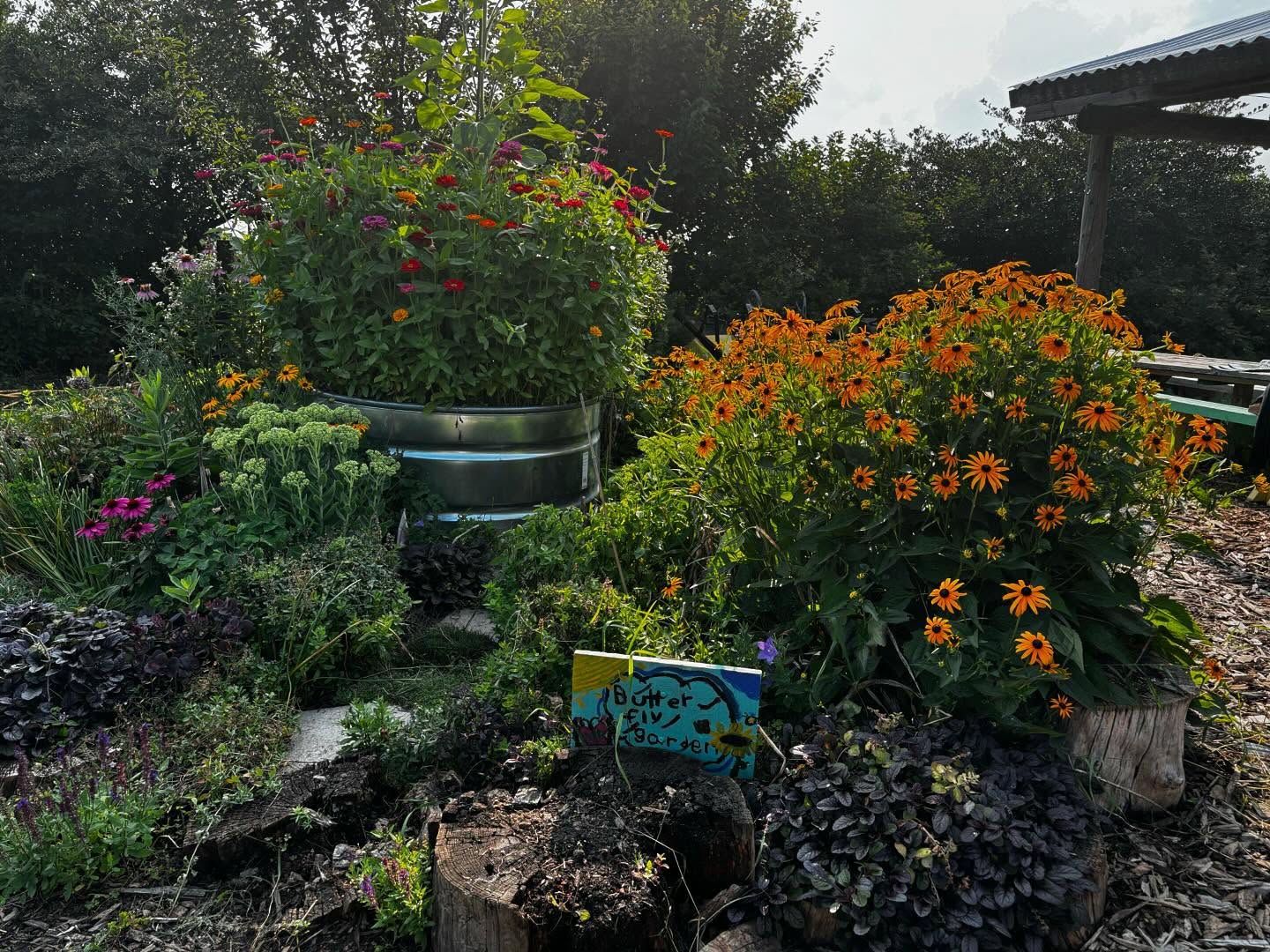 🎨 We love seeing our students express their creativity! Check out these vibrant signs and murals by the arts program at John Polanyi C.I., adding color to our garden spaces. #ArtsEducation #CommunityEngagement #PACT