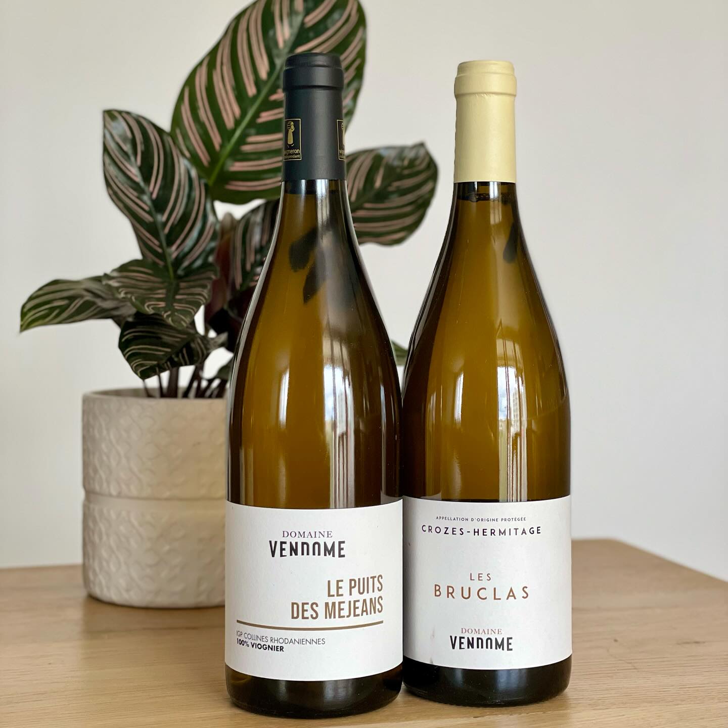 LES VINS 🍷
@domainevendome
Afin d’exprimer pleinement cette variété de terroirs et la typicité des sols, chaque parcelle est vinifiée séparément pour donner des vins élégants, sur la fraîcheur et avec des tanins fins pour les rouges.
Retrouvez au catalogue :
・IGP Collines Rhodaniennes « Le Puits des Mejeans » Viognier : une cuvée fraîche et gourmande sur des notes de fruits du vergers (pêche, abricot), d’amandes et d’épices
・Crozes-Hermitage « Les Bruclas » Blanc : la Marsanne et Roussanne se marient pour une cuvée enrobée, légèrement crémeuse sur des notes de fleurs et d’abricot
・IGP Collines Rhodaniennes « Terre des Chaux » Syrah : arômes de fruits rouges acidulés et d’épices, un bouche pleine de fruits et de gourmandise, tout en fraîcheur
・Crozes-Hermitage « Les Coulaires » Syrah : une cuvée avec de l’ampleur et de la densité, sur des fruits noires explosifs et des épices
・Cornas « Baryte » : une Syrah au nez de cerise et d’épices, un beau volume et des tanins fondus pour une superbe longueur en bouche
#dbselection #vin #vinfrancais #vigneron#crozeshermitage #cornas #viognier #syrah #domainefamilial #domainevendome #instawine #winetime #lyon #lyonnaise #lyonnais #bouchonlyonnais