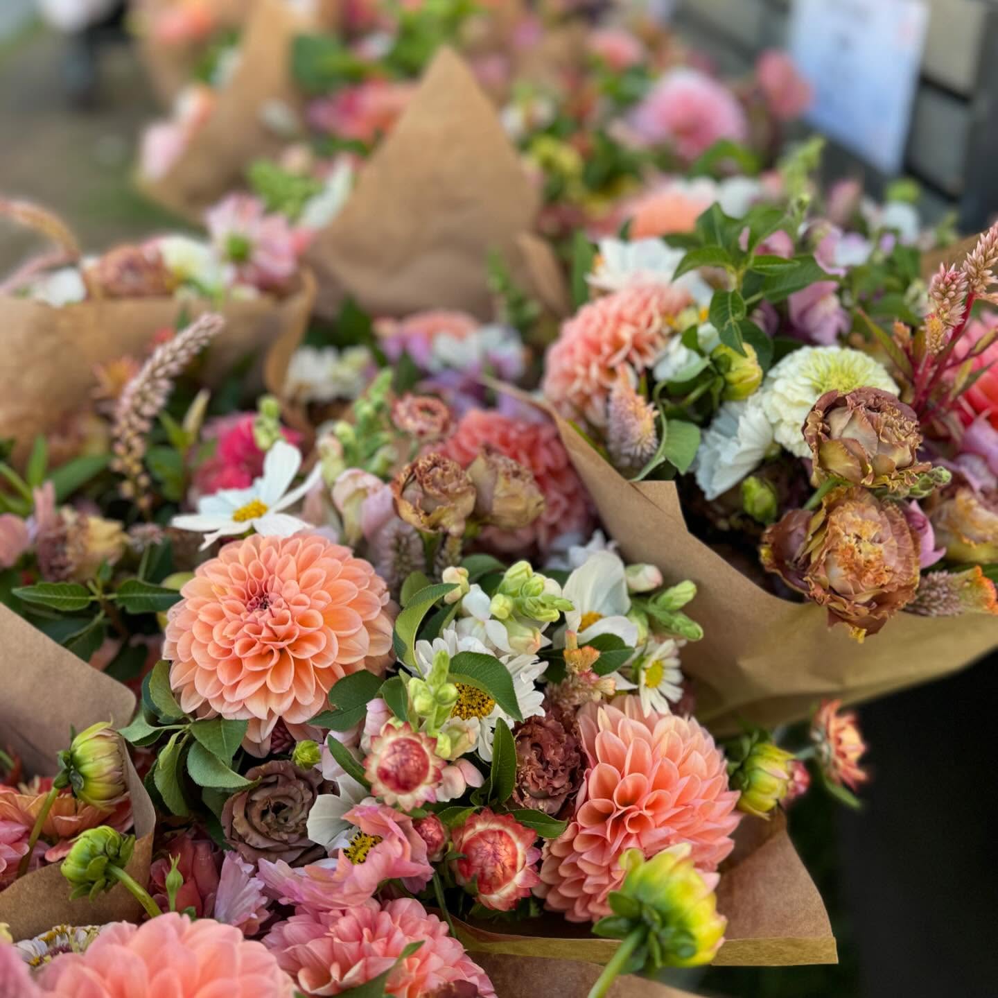 This may be our last market of the season, so come say hi and grab some flowers!
#provofarmersmarket #utahflowerfarm #provo #makeutahbloom
