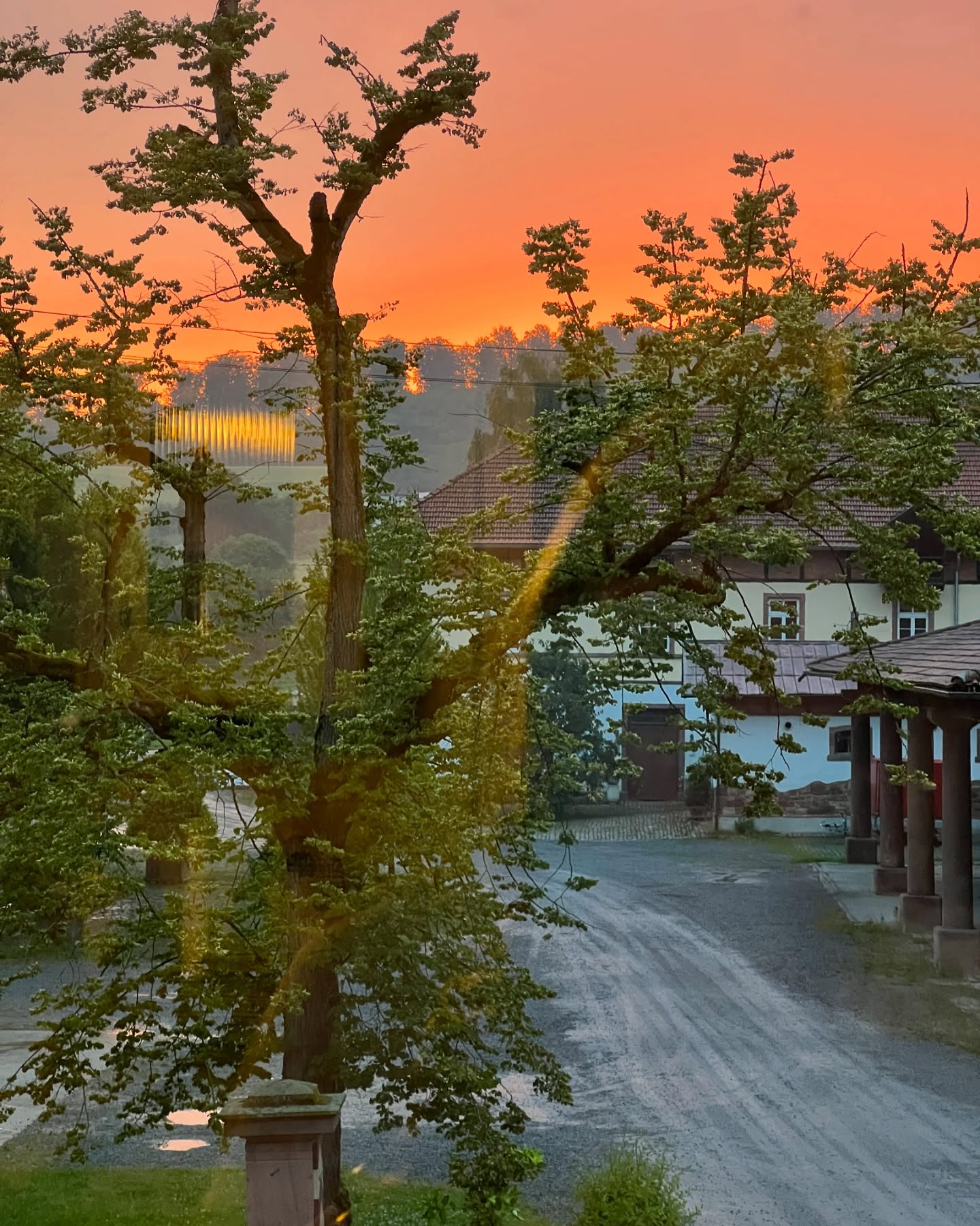 Summer is setting here in Langenzell. There are always beautiful sunsets out my window, even after rain! 🥰 Isabella will be sad not to have the abundant grass pastures most of the day. 😪 I will be working with my young girl here in the Arena most of the time. Hopefully we will have a bit of nice weather still for a while. You never know, as the weather here in Germany is always so dramatic! It can change 10-15 degree Celsius from one day to the next!
#pferdelifestyle #PRE #pferdeofinstagram #pferde #dressurpferd #horsesofinstagram #horseloversofinstagram #horseriding #purerazaespañola #germany #stablelife #ridingadventures #horserider #equestrianjourney #equestriancommunity #horseaddiction #horseaddict #bridlery #isabella